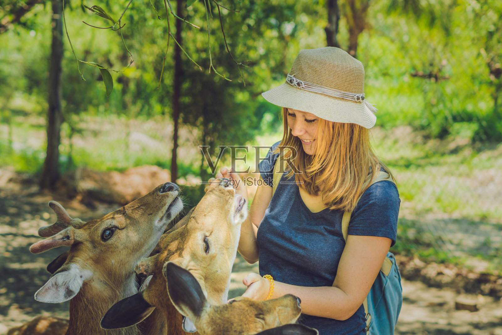 在热带动物园里，年轻女子用手喂美丽的鹿照片摄影图片