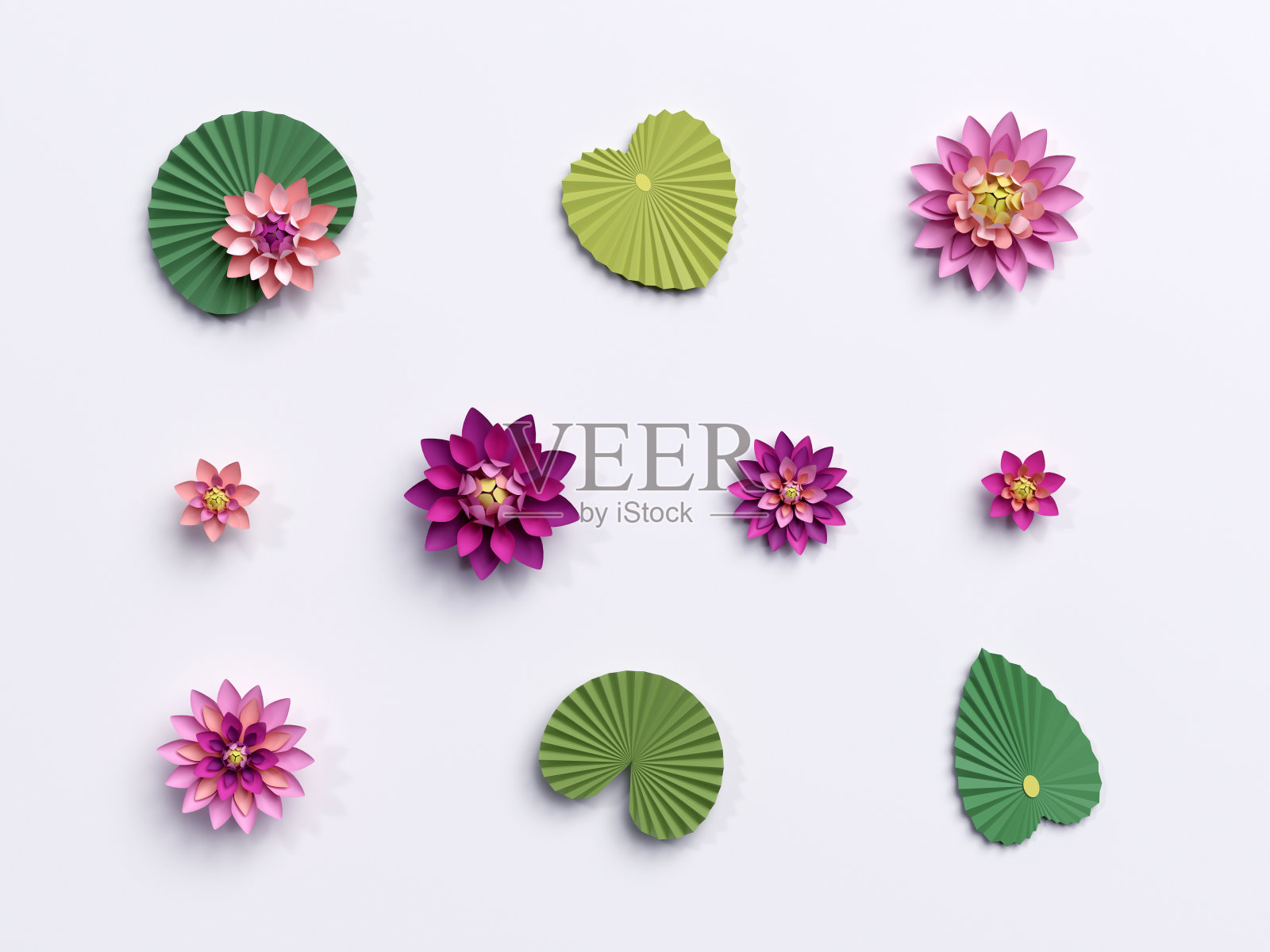 3d渲染，纸荷花，绿叶，粉色睡莲，设计元素孤立在白色的背景照片摄影图片