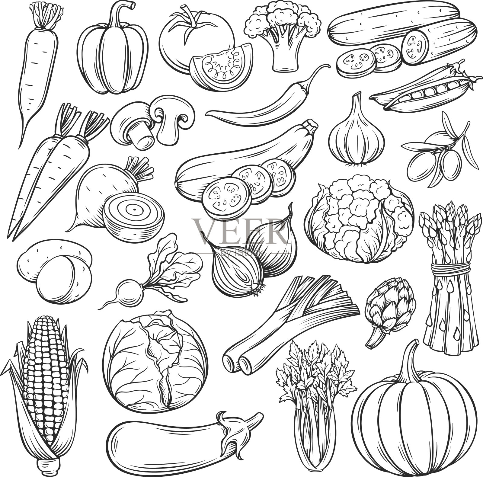 矢量手绘蔬菜图标集插画图片素材