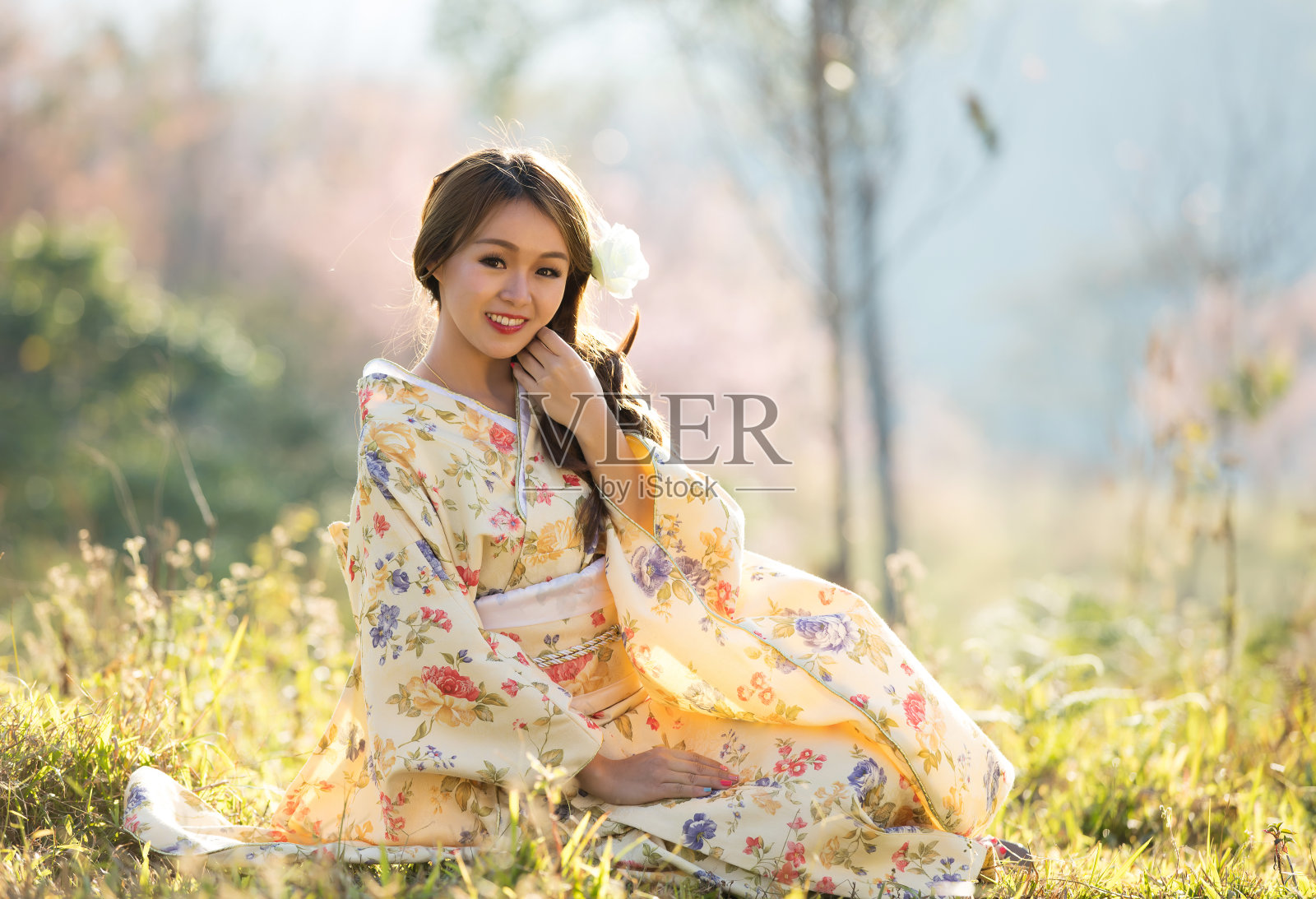 在泰国喜玛拉雅樱花园中，亚洲妇女穿着传统的日本和服和红伞。照片摄影图片