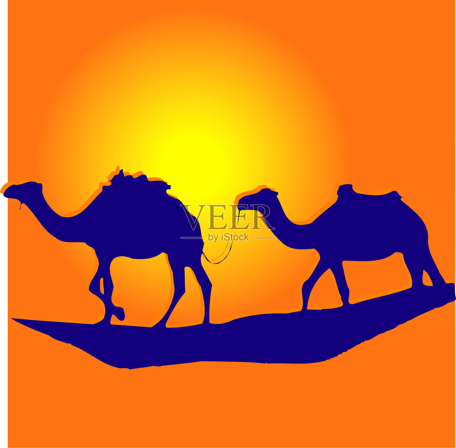 骆驼插画图片素材
