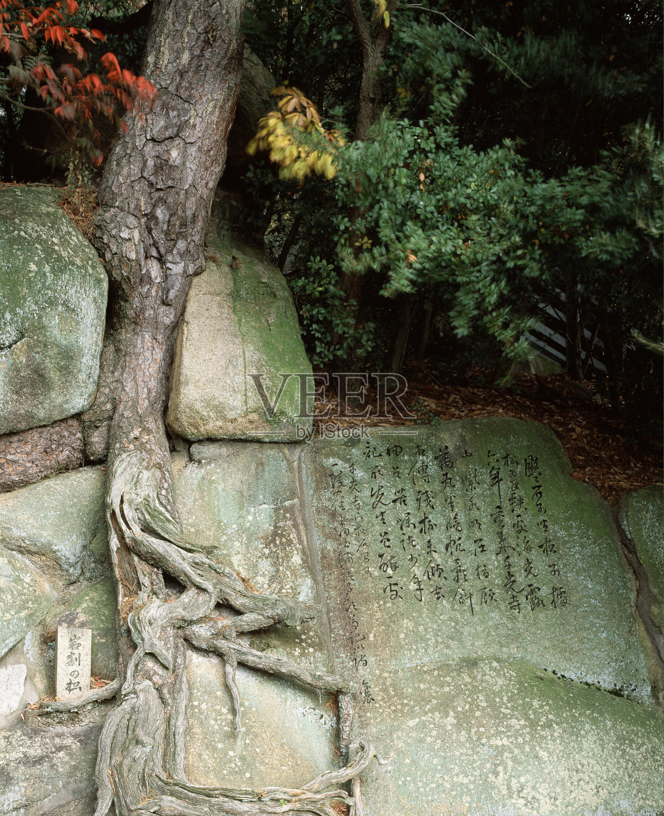 三洋问松文碑与岩裂照片摄影图片