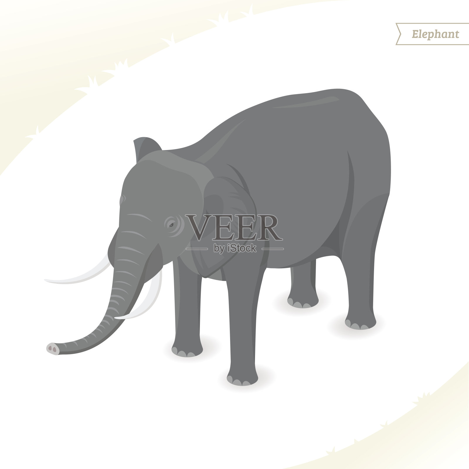 大象孤立在白色背景上。设计元素图片