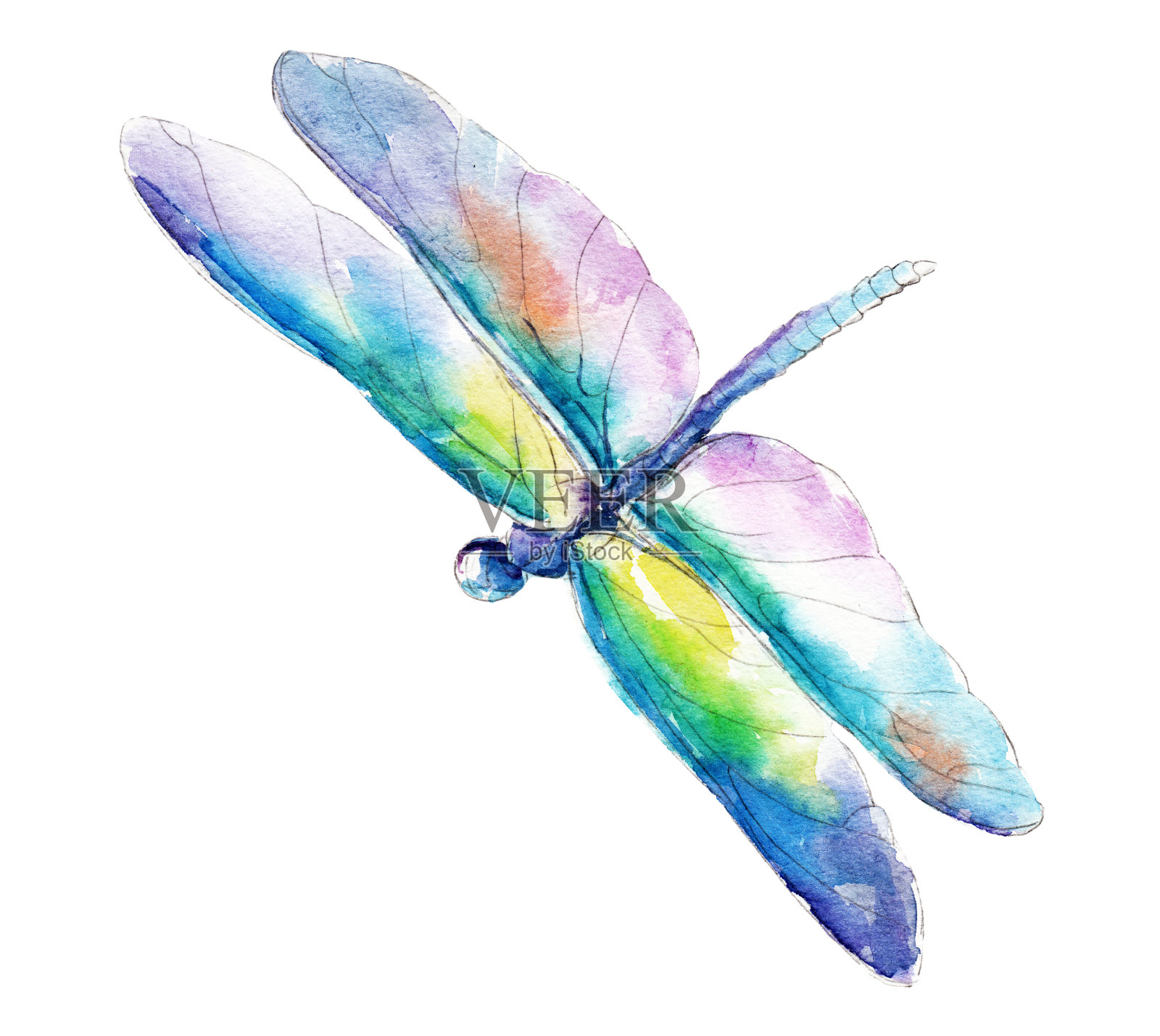 蓝绿色的蜻蜓，水彩插图孤立在白色的背景。插画图片素材