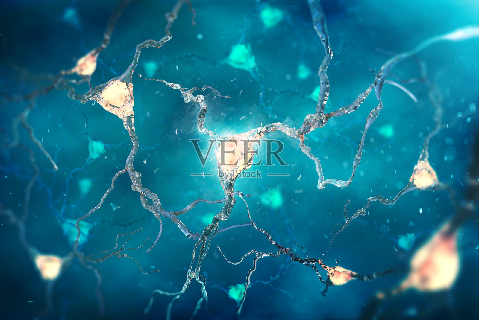 在深蓝色背景下的大脑神经元照片摄影图片