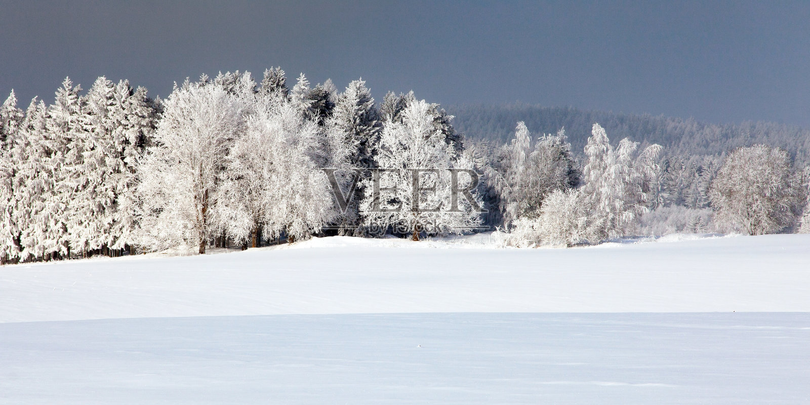 来自波西米亚和摩拉维亚高地的冬季景色照片摄影图片