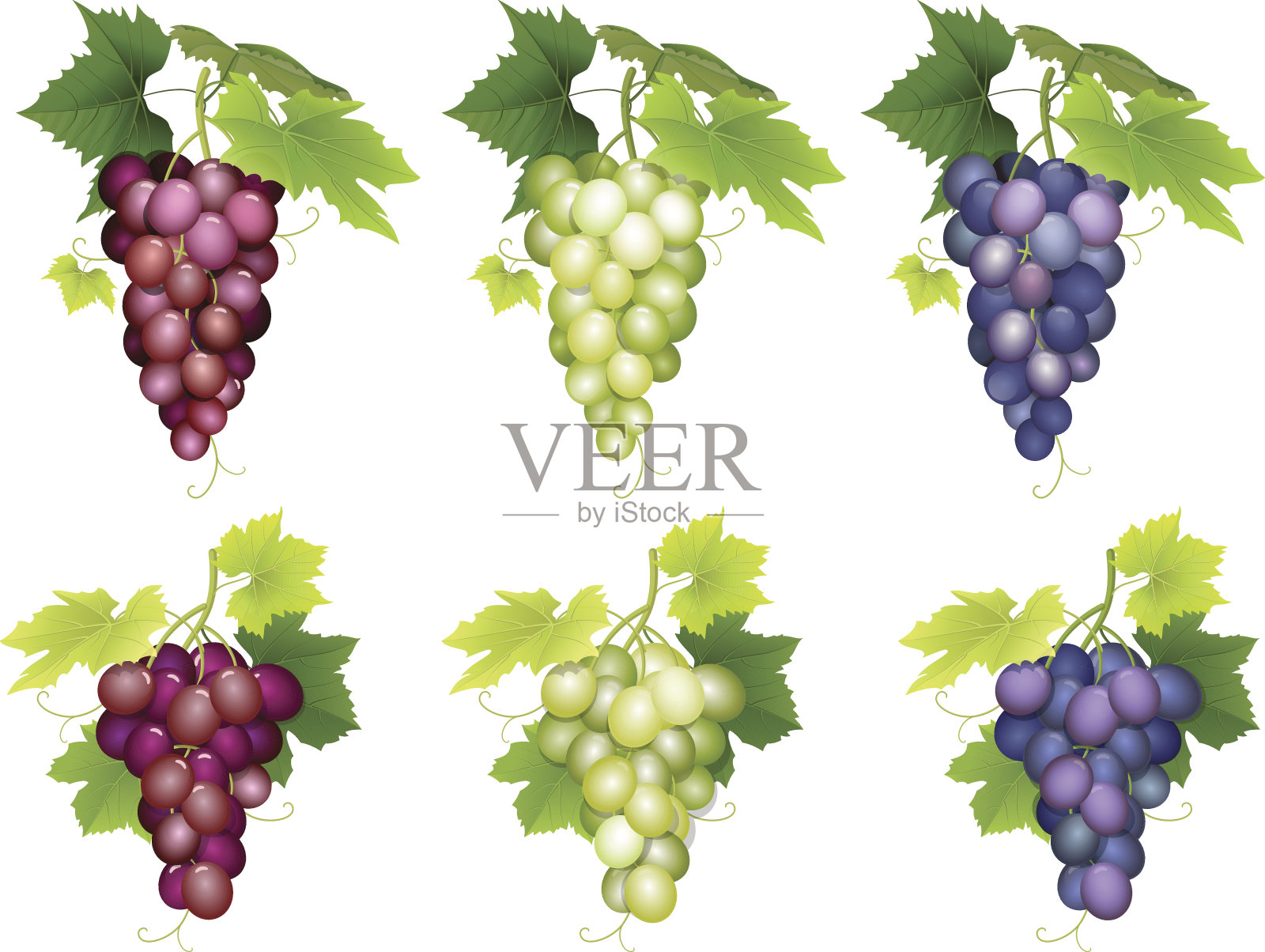 一串不同品种的葡萄设计元素图片