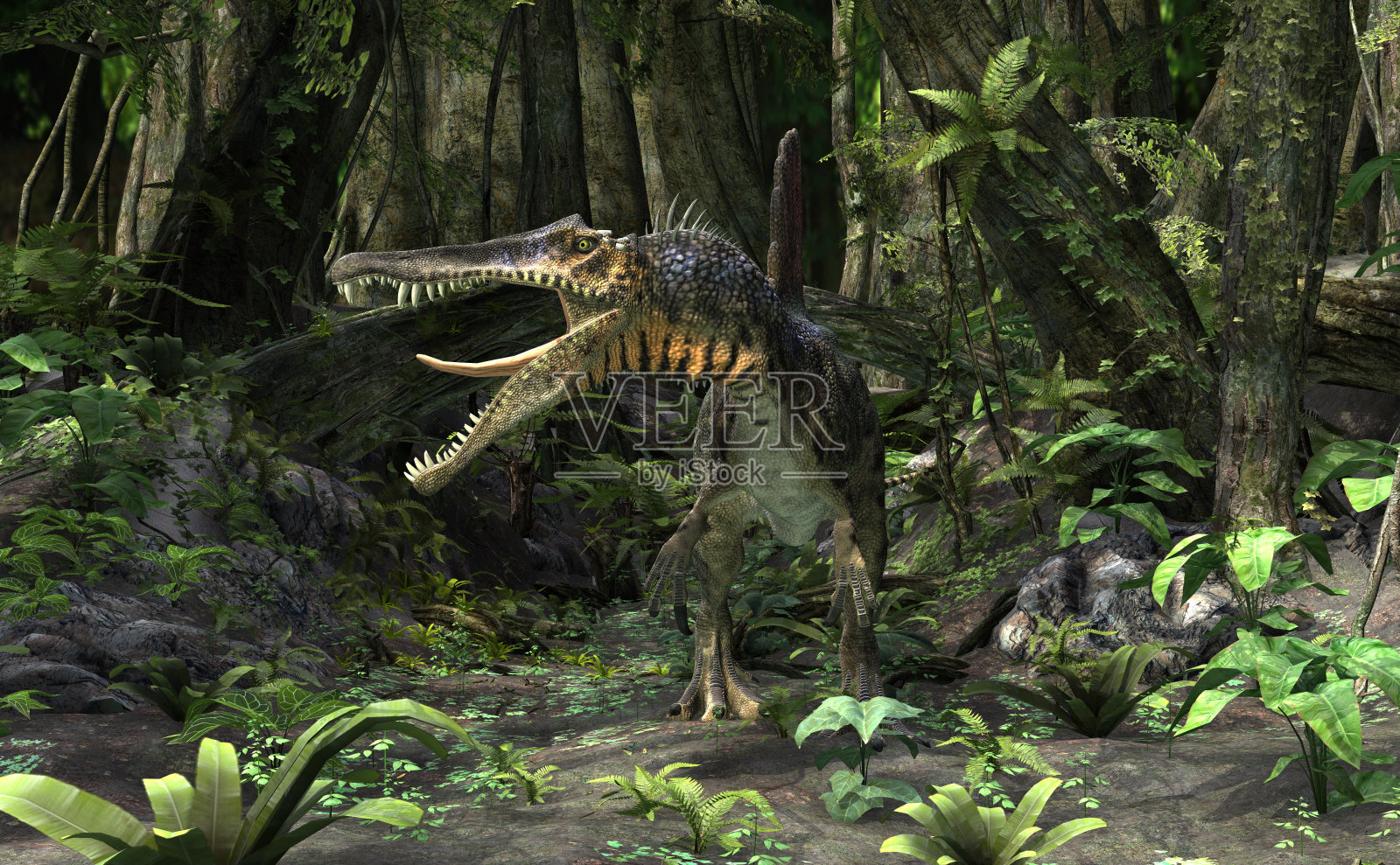 3D渲染恐龙棘龙照片摄影图片
