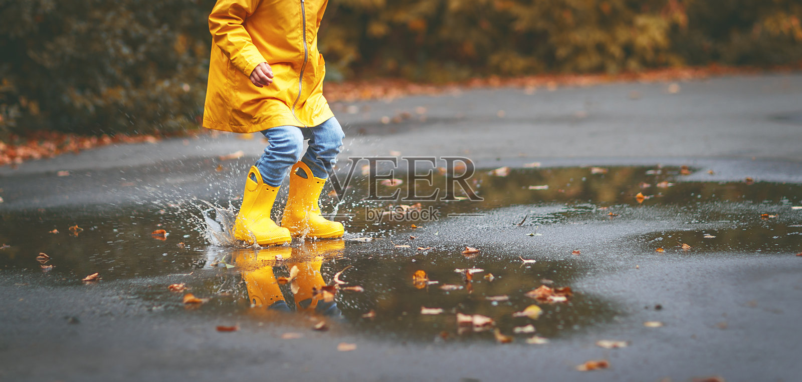穿着黄色胶靴的孩子的腿在秋天的水坑里照片摄影图片