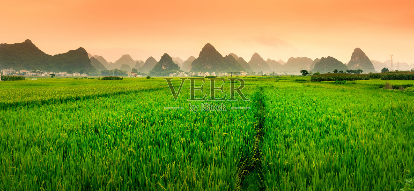 喀斯特地貌的中国稻田日落照片摄影图片