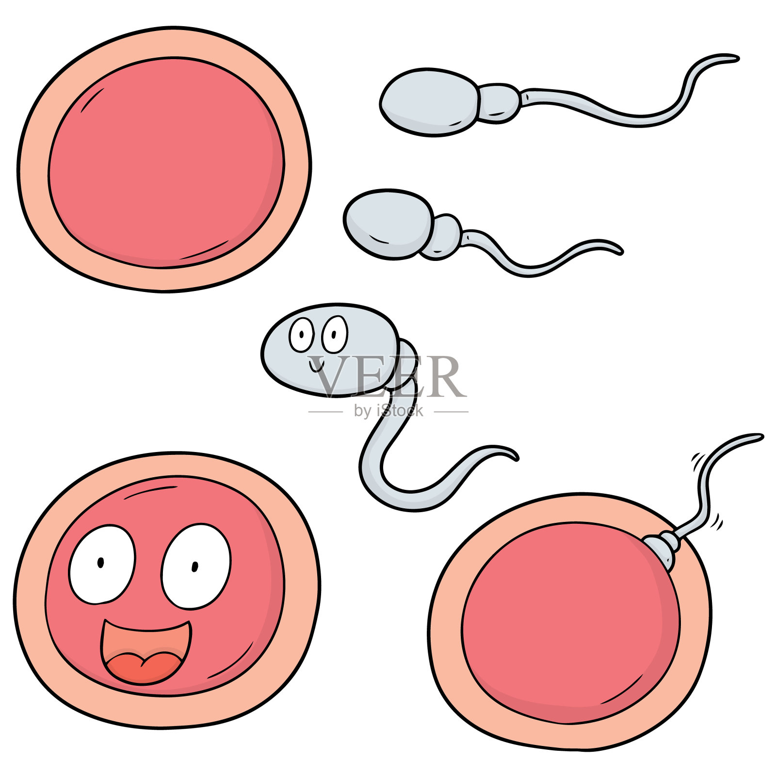精子和卵子插画图片素材