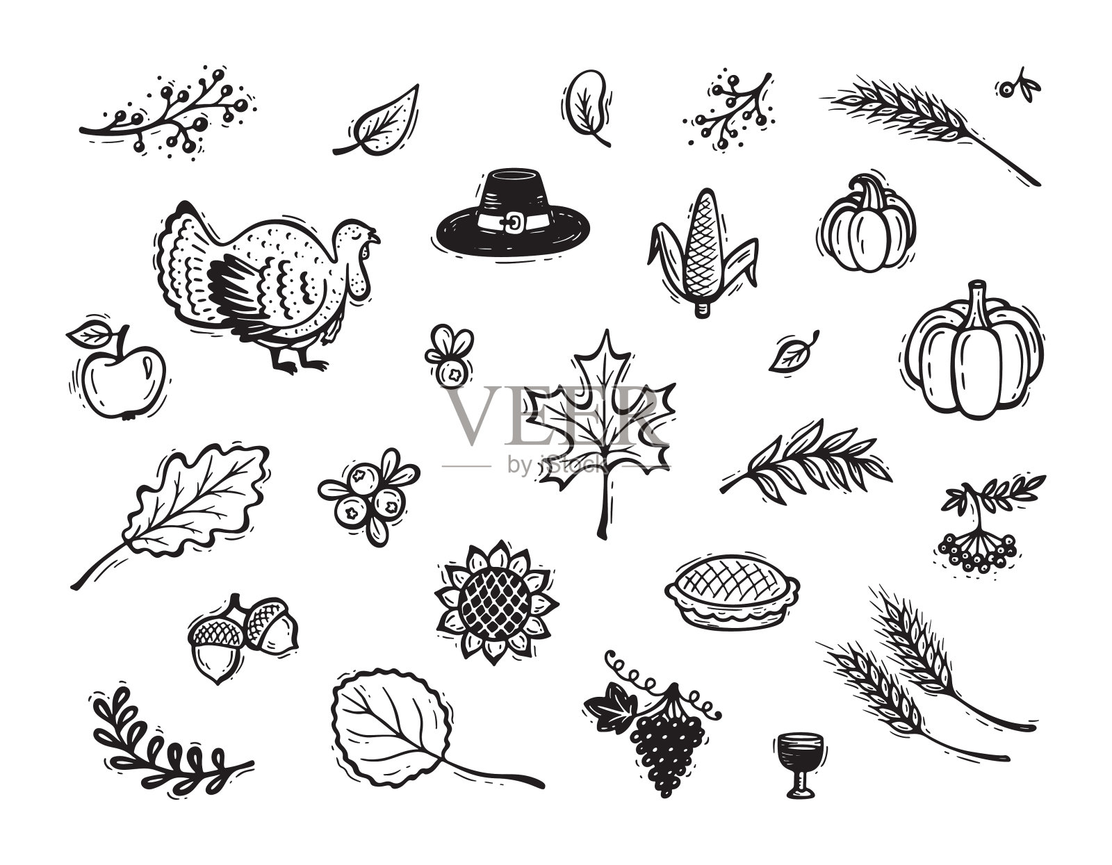 矢量感恩节图标设置。秋天丰收的象征。秋天收集。手绘涂鸦火鸡鸟，浆果，水果，蔬菜，叶子，小麦的耳朵，感恩节帽子和南瓜派。设计元素图片