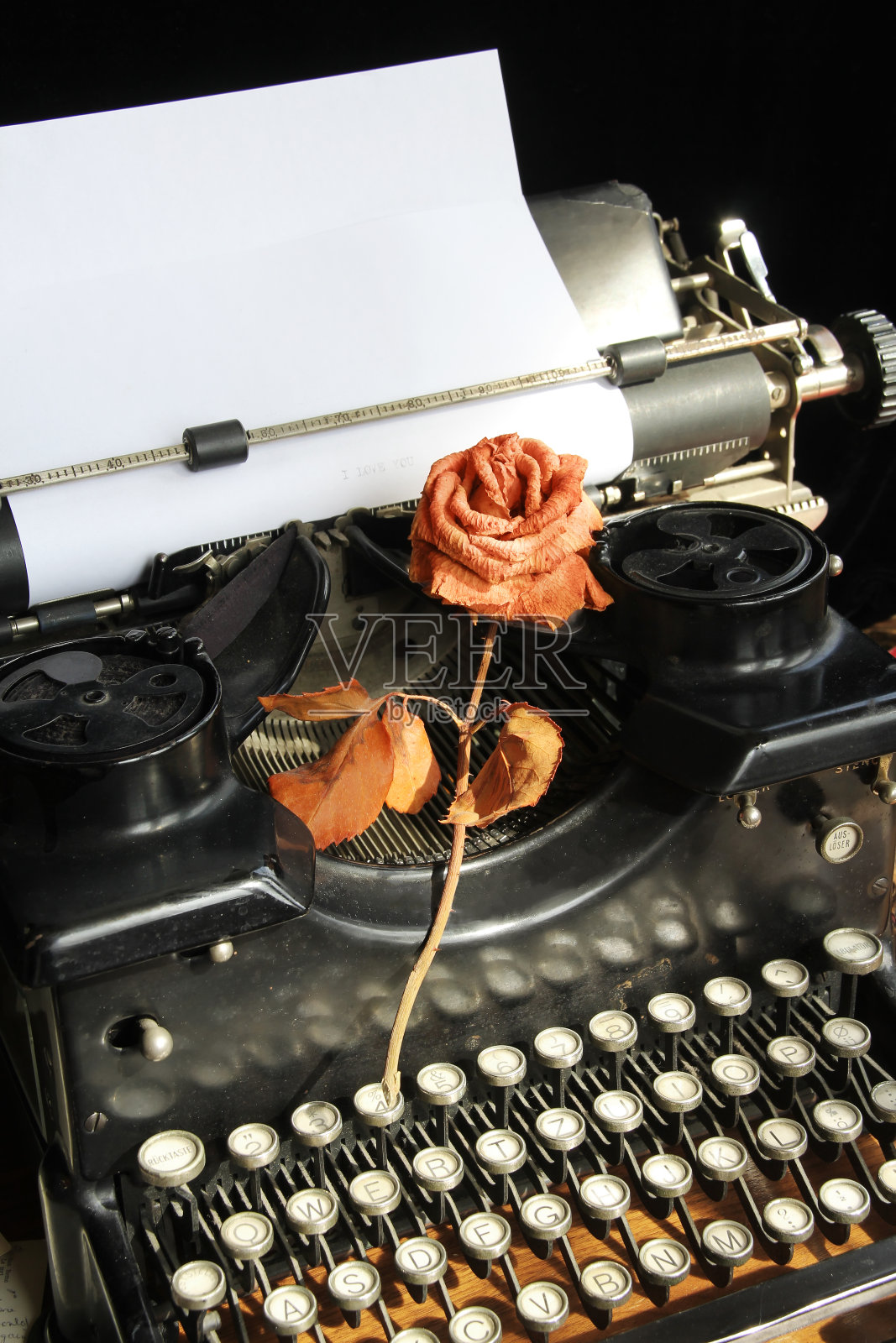 经典打字机和干玫瑰照片摄影图片