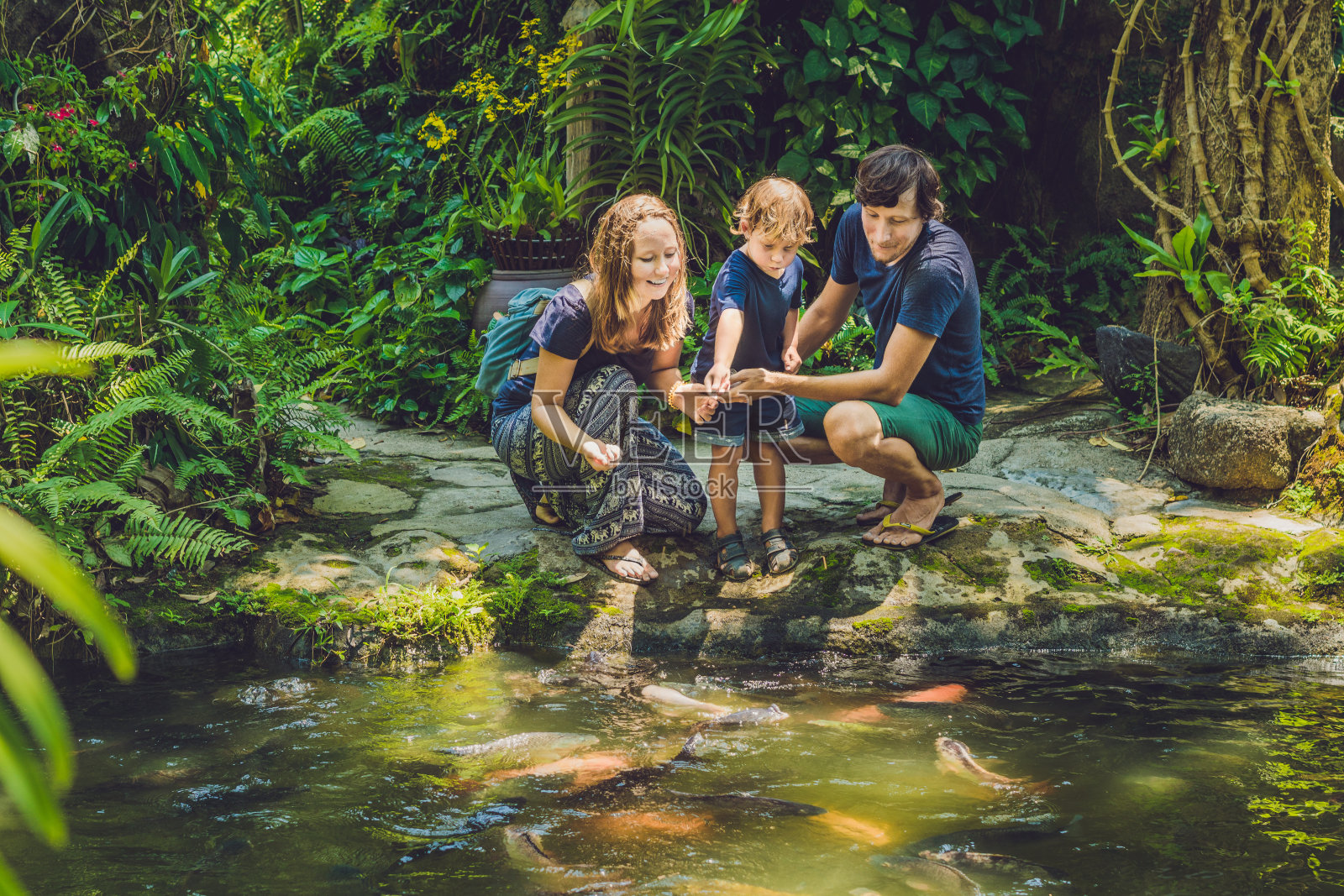幸福的家庭在热带池塘喂养彩色鲶鱼照片摄影图片