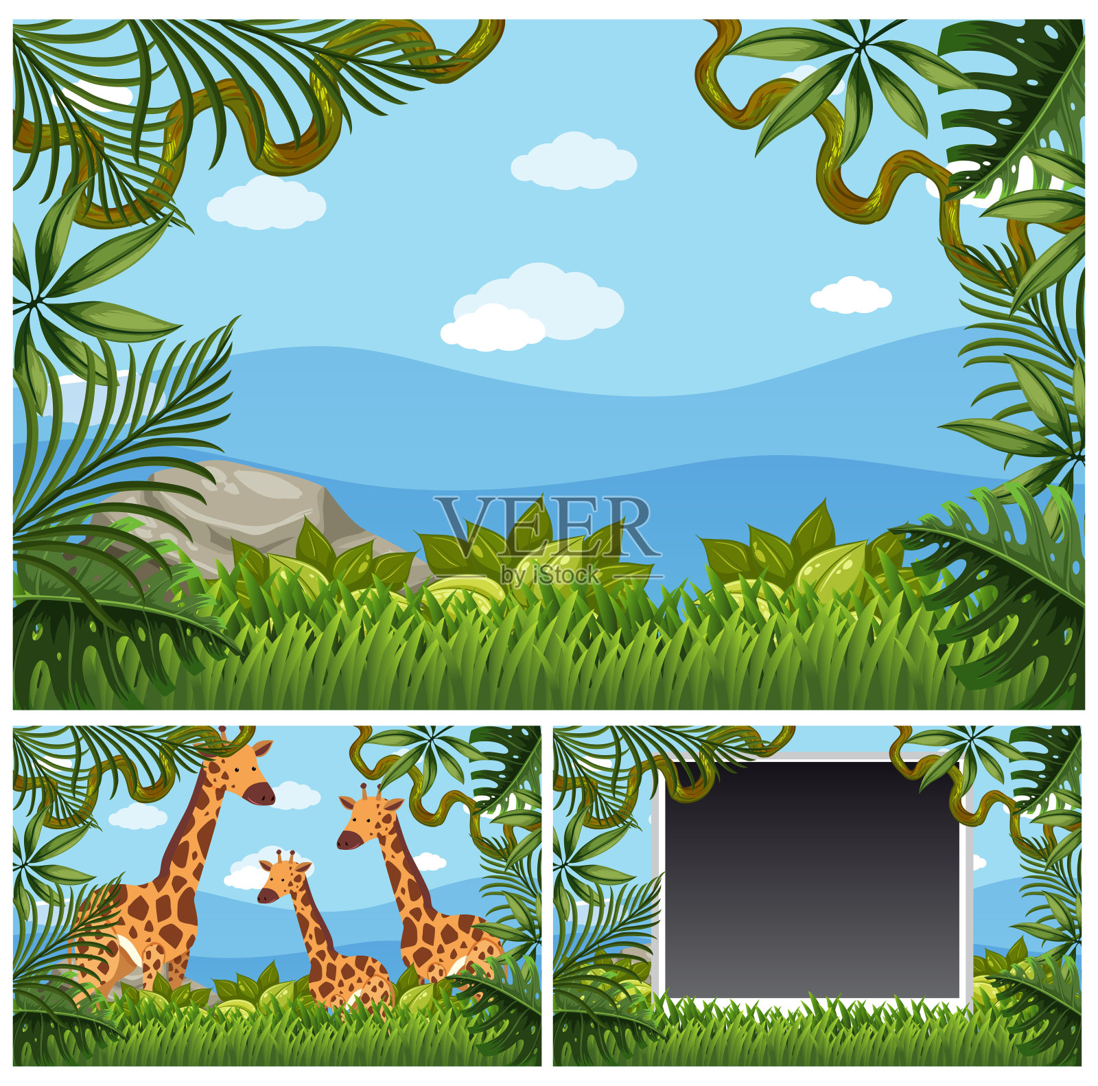 背景模板与长颈鹿在森林插画图片素材