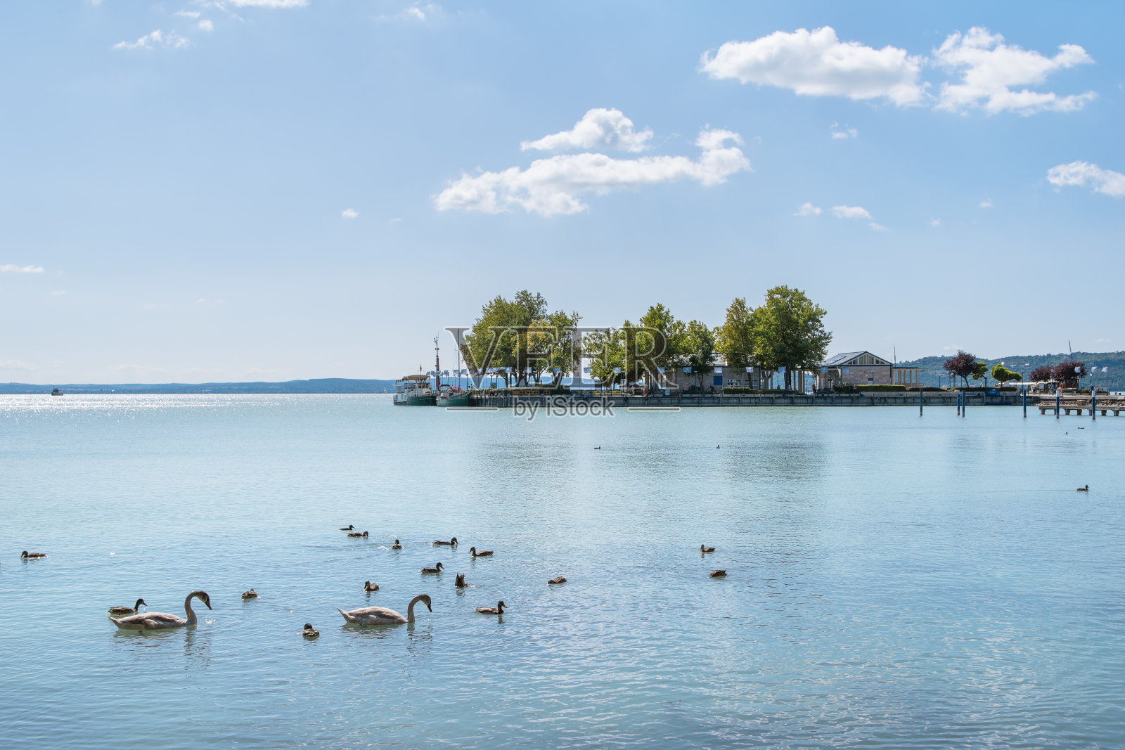 匈牙利Balatonfured港和Balaton湖照片摄影图片