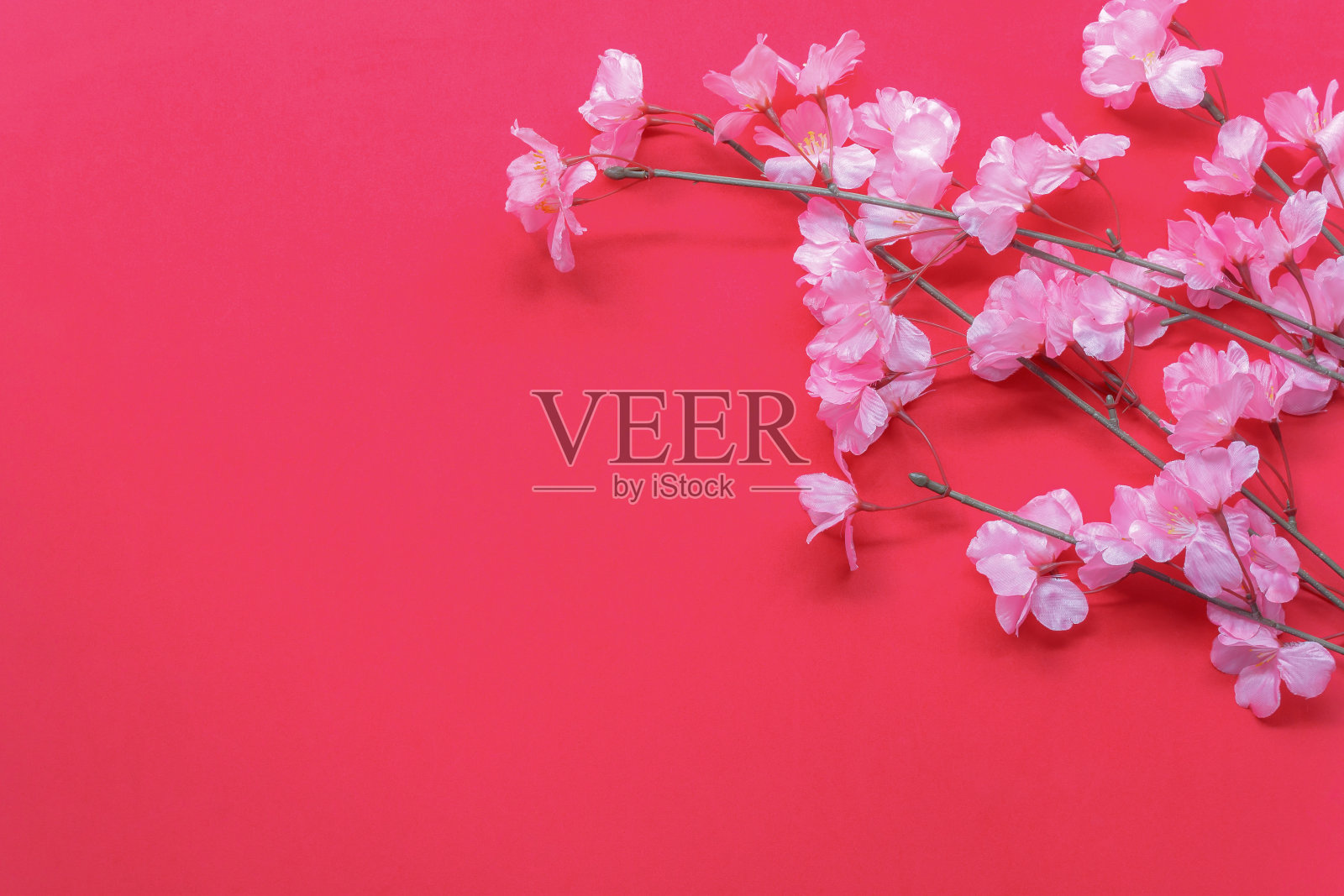 布置装饰中国新年和农历节日的概念背景。美丽的粉红色花在现代的红木墙纸在家庭办公桌上。自由空间的创意设计文本和措词。设计模板素材