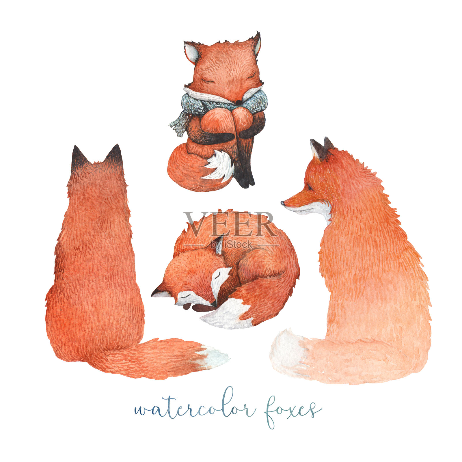 一组水彩画狐狸插画图片素材
