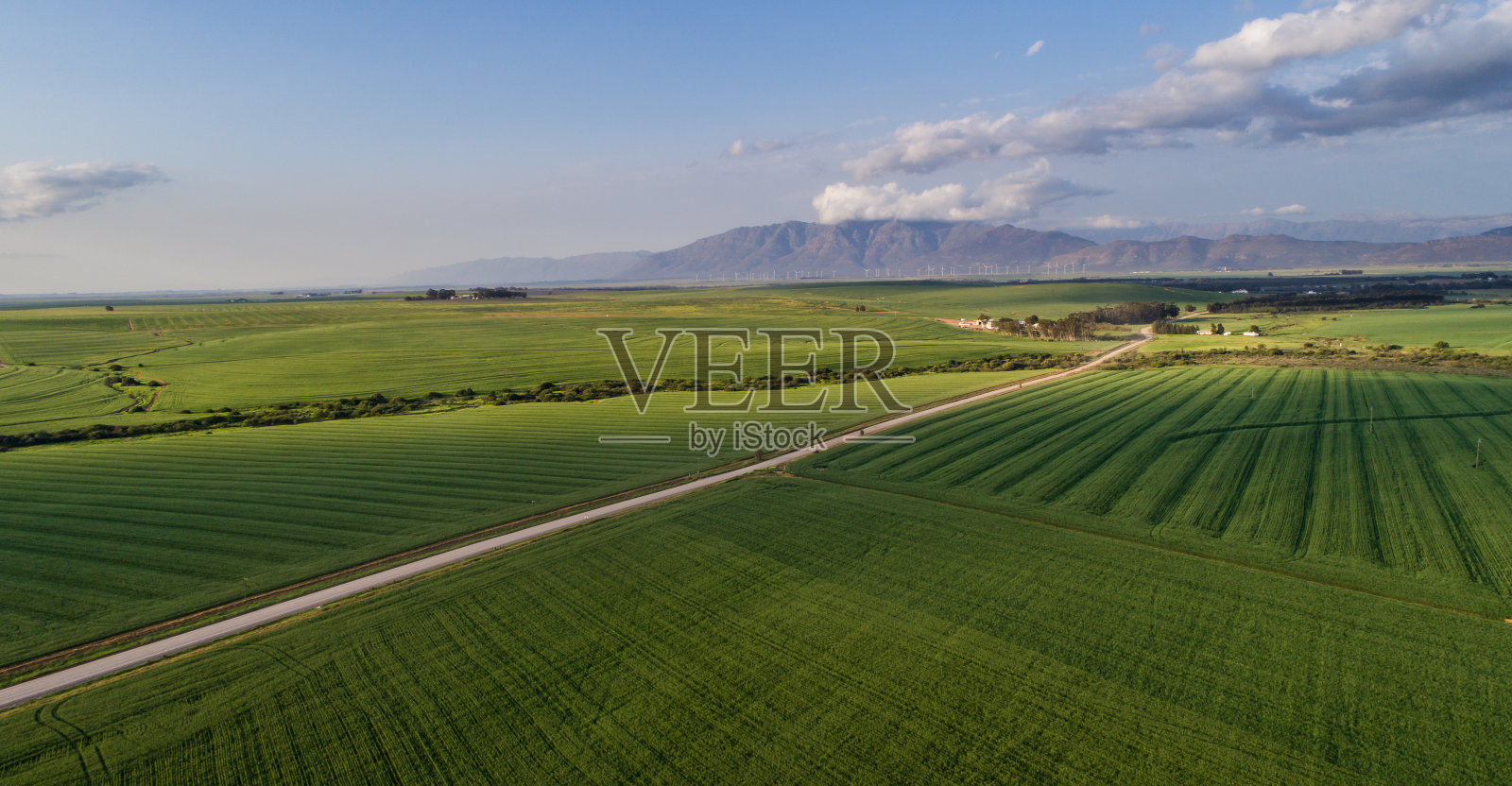 航拍在南非西开普省的斯瓦特兰绿色麦田照片摄影图片