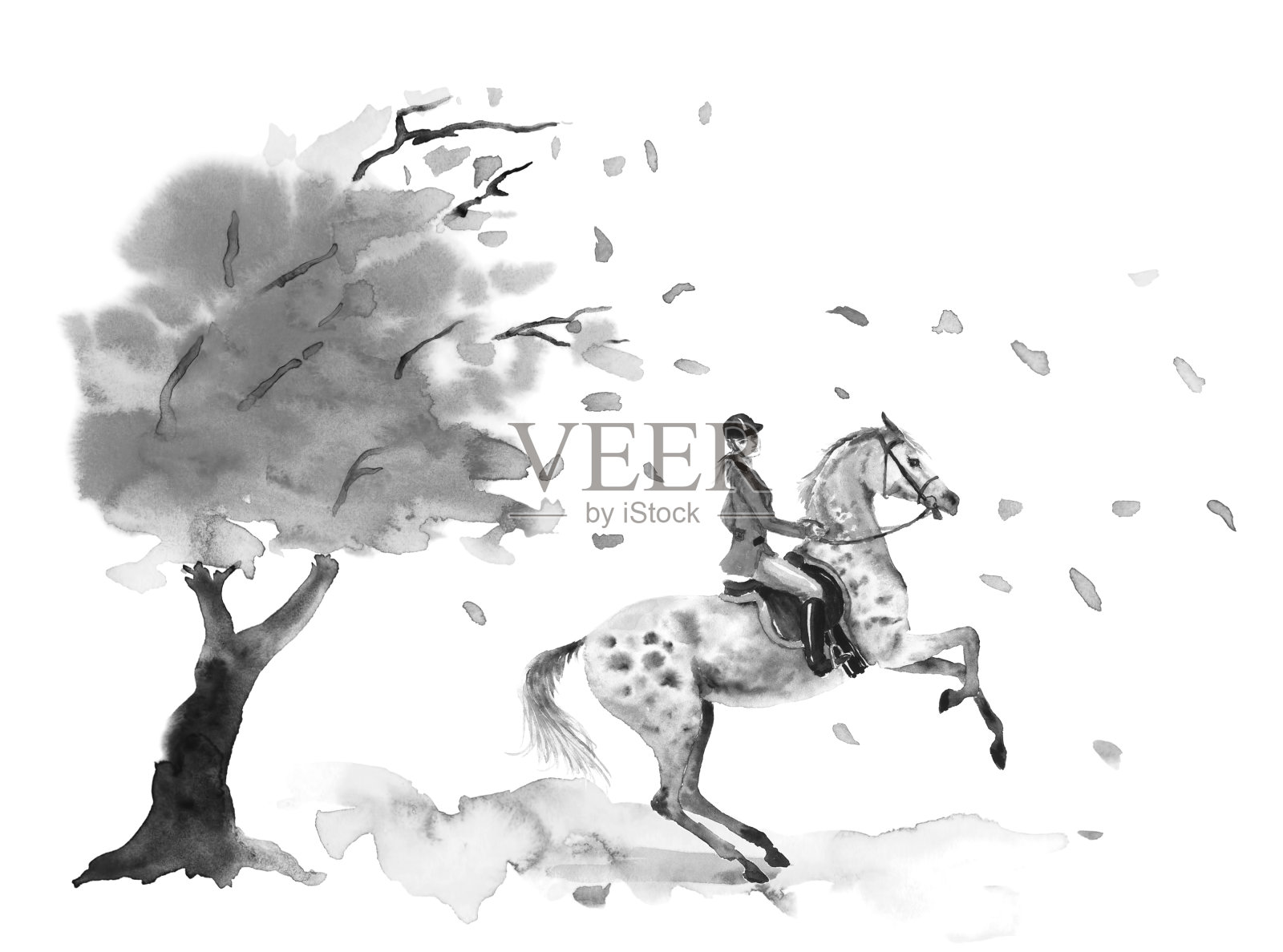 马背上的骑手和养着斑纹灰马。秋天的树与风飘落的叶子。插画图片素材