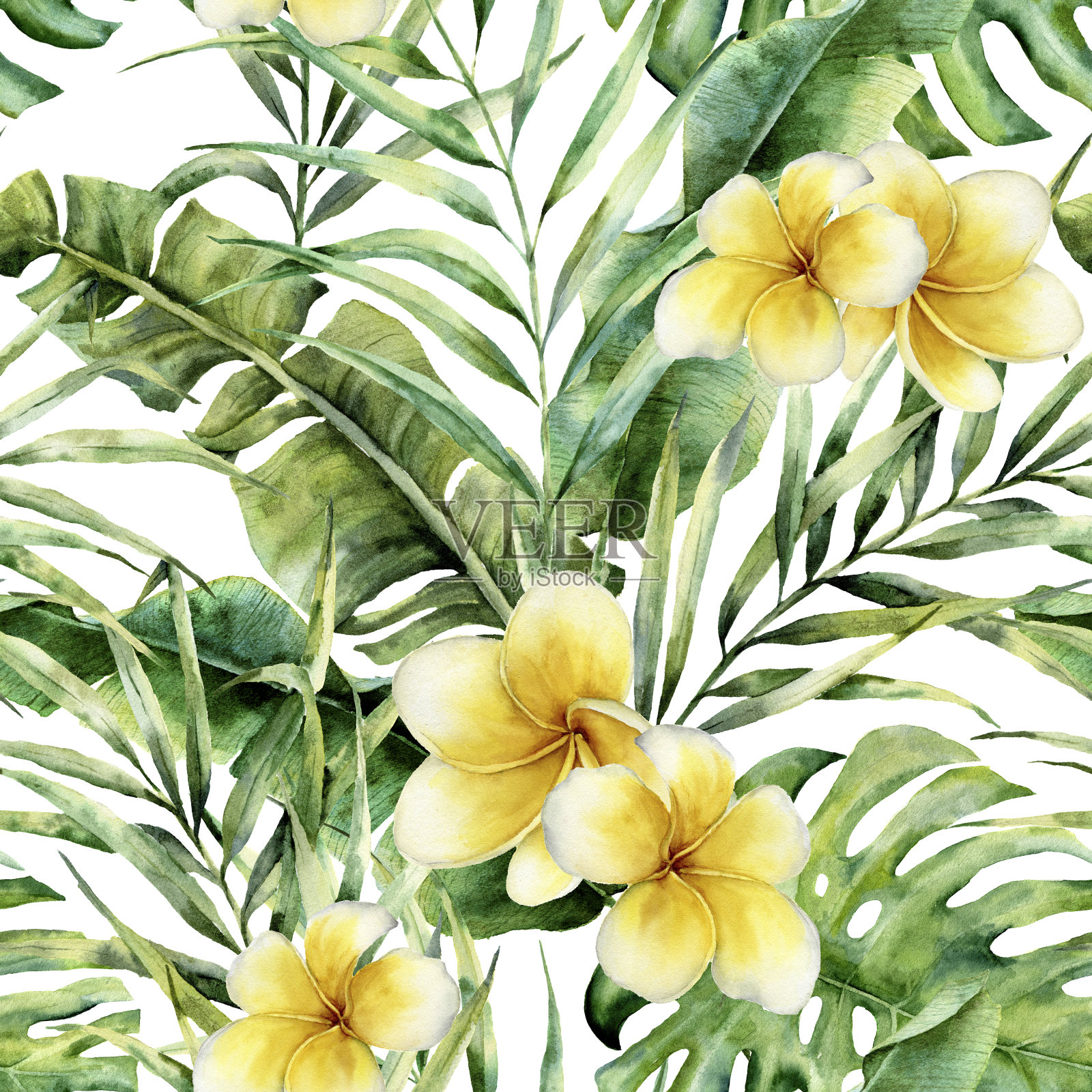 水彩图案与鸡蛋花，棕榈树的叶子。手绘异国情调的绿叶树枝。植物插图。为设计，打印或背景。插画图片素材