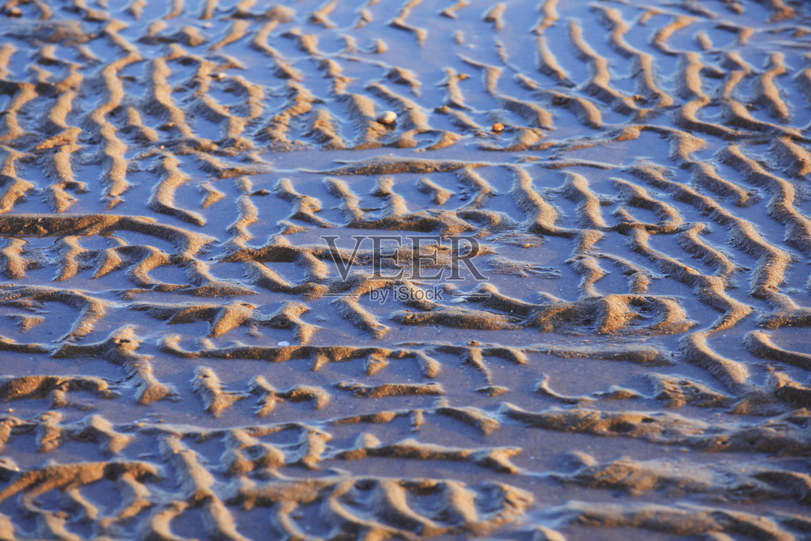 海边的一粒沙子照片摄影图片