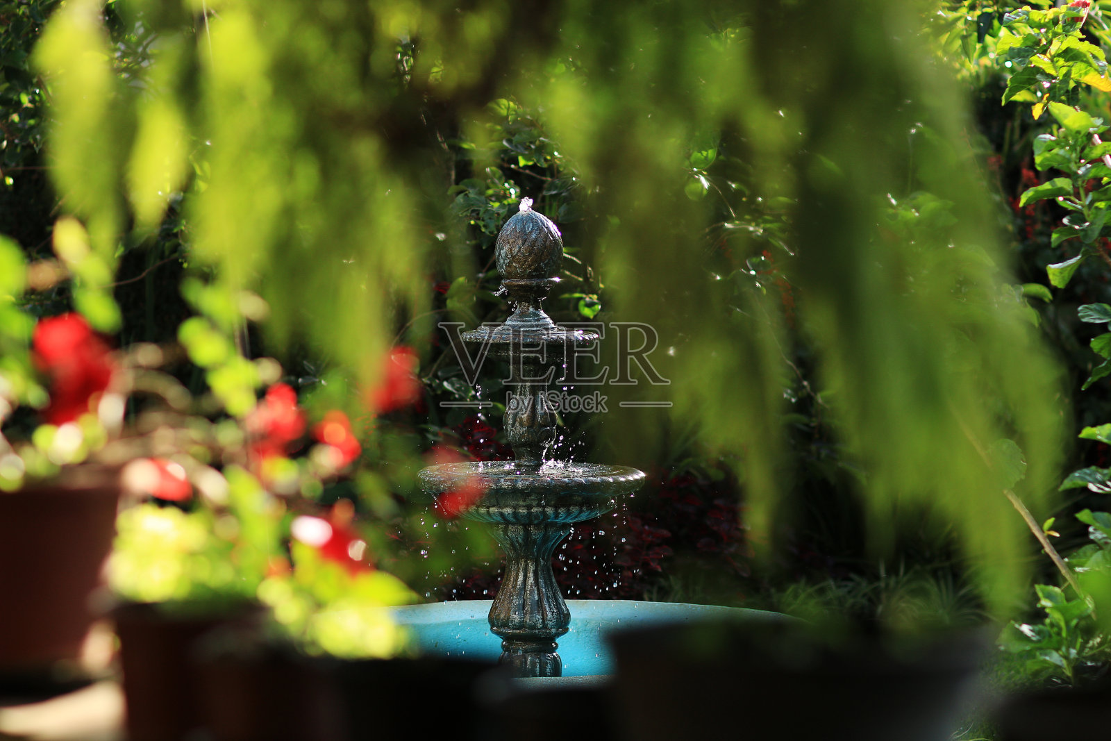 花园里的喷泉照片摄影图片