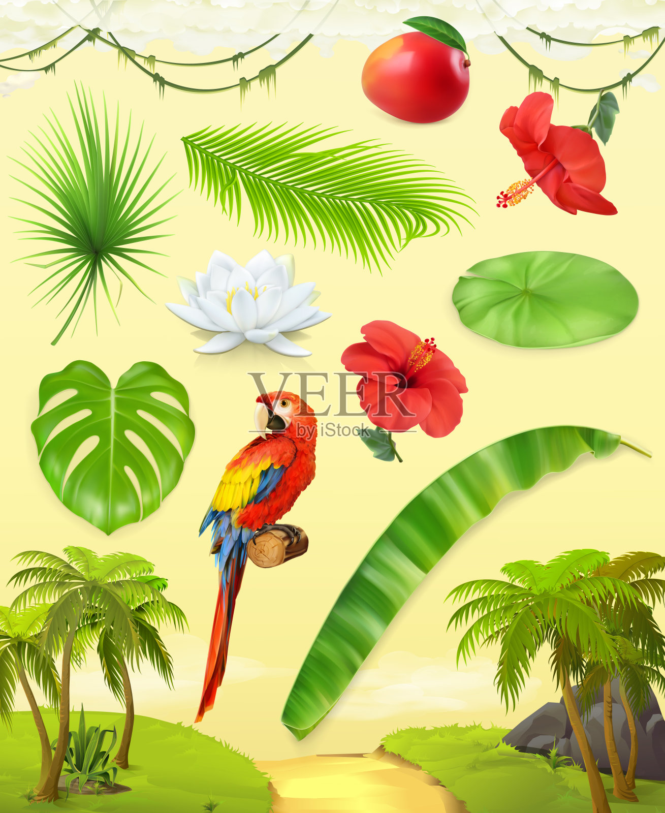 丛林。棕榈，香蕉，芒果，鹦鹉，睡莲，木槿。一组叶子和花。热带植物。三维矢量图标集插画图片素材