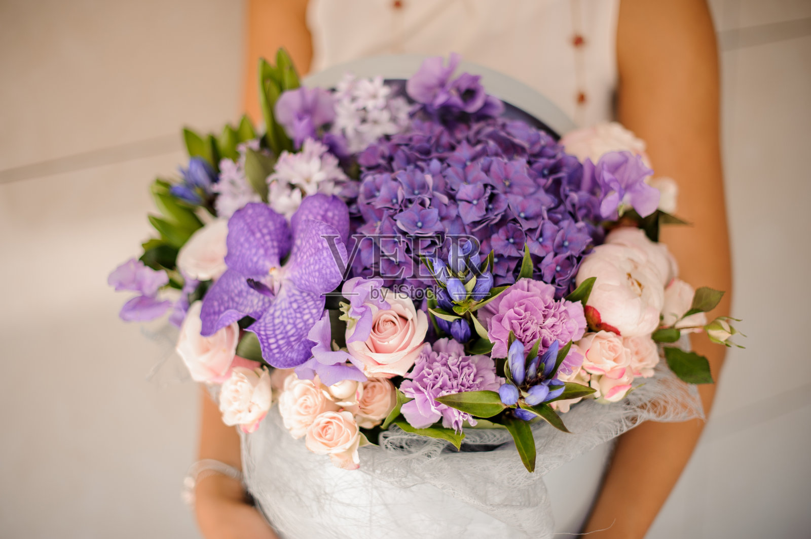 手与一个可爱的紫色组成的花照片摄影图片