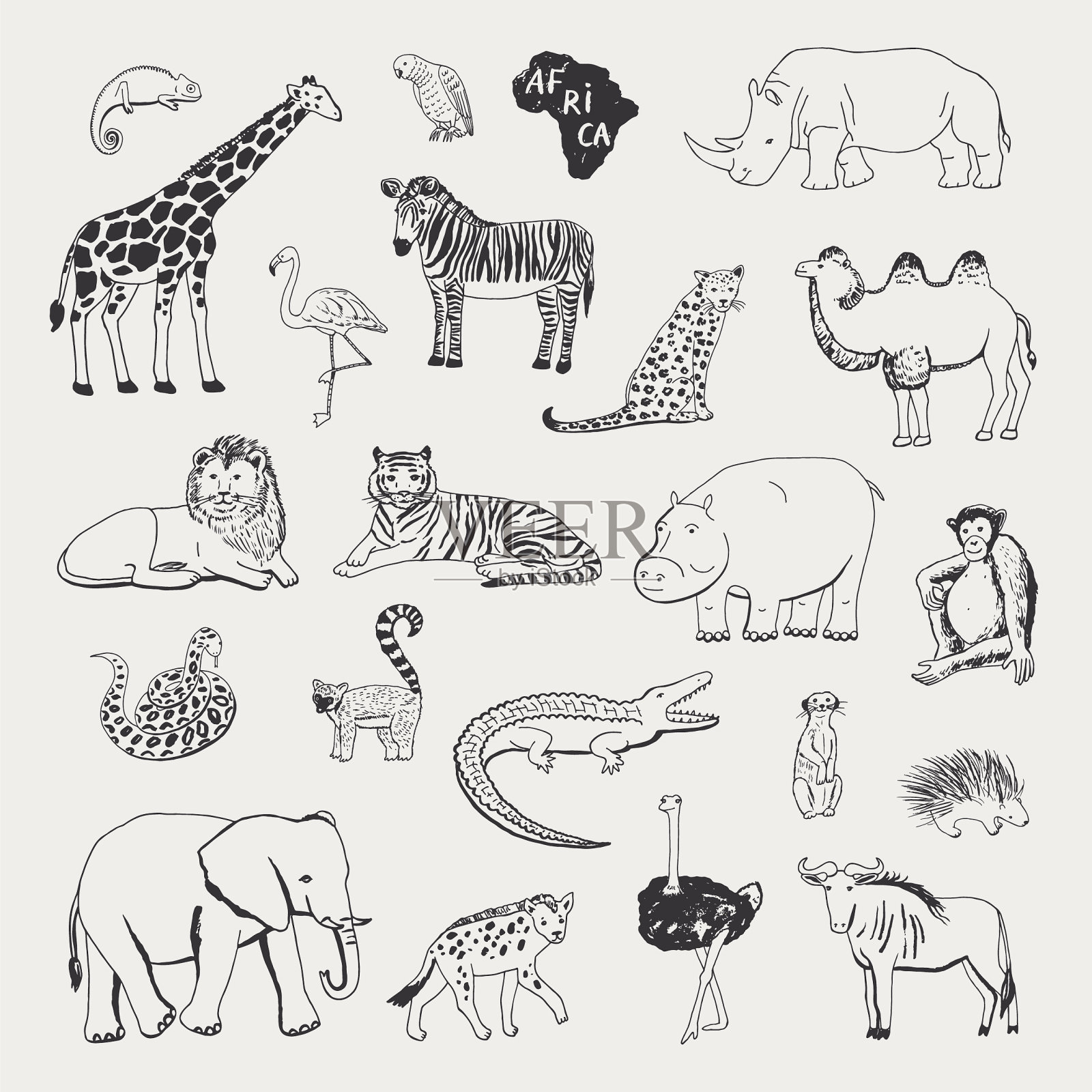 非洲动物矢量插图图形集插画图片素材