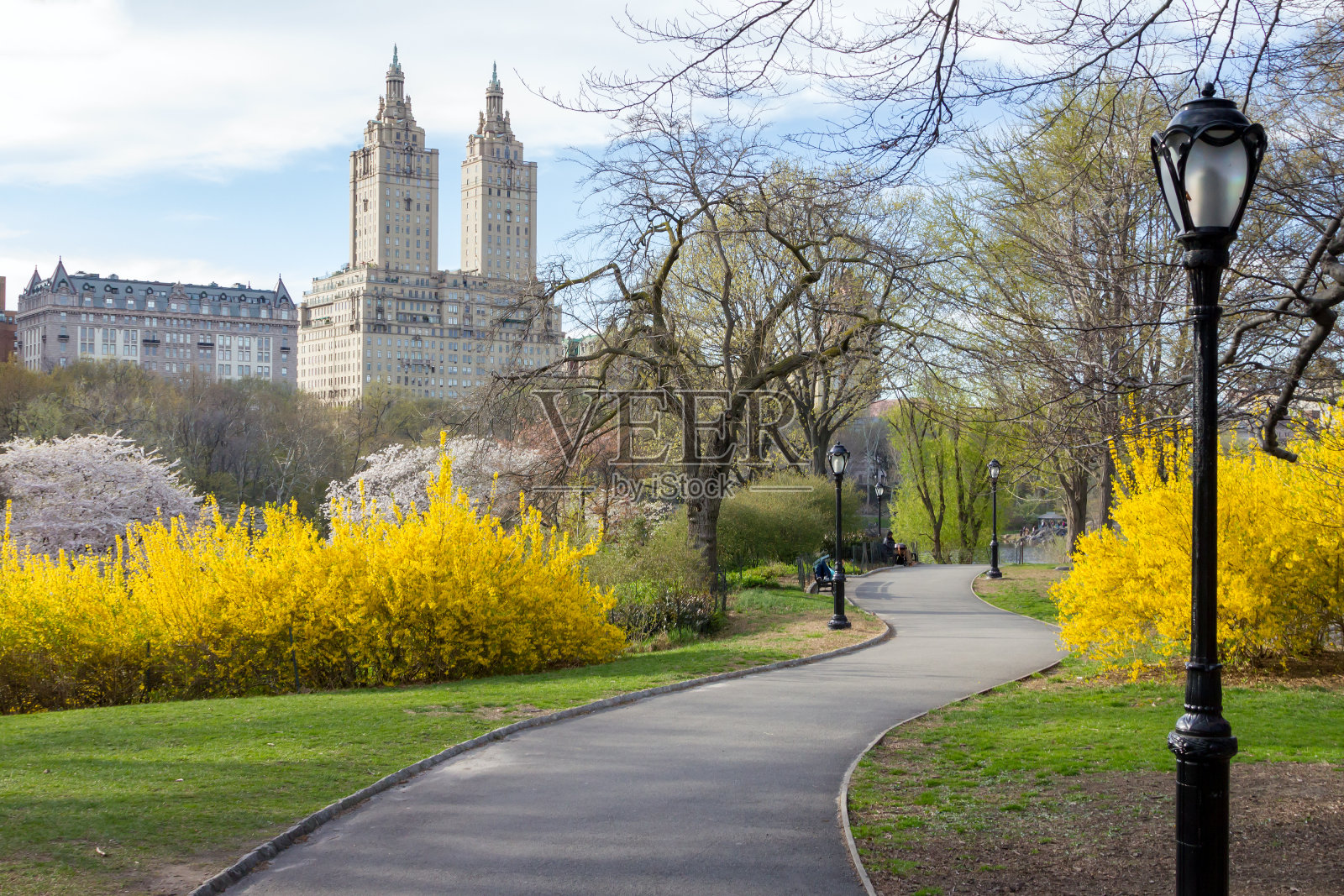 中央公园纽约市的春天景观照片摄影图片