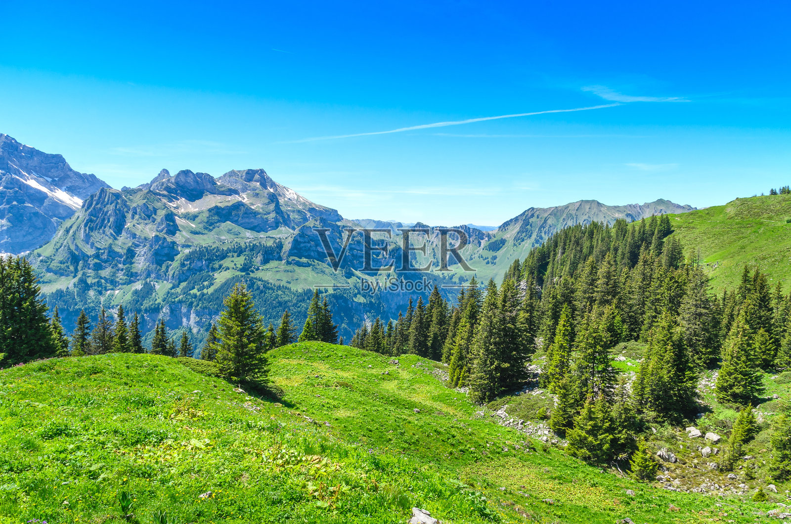 瑞士阿尔卑斯山在夏季。照片摄影图片