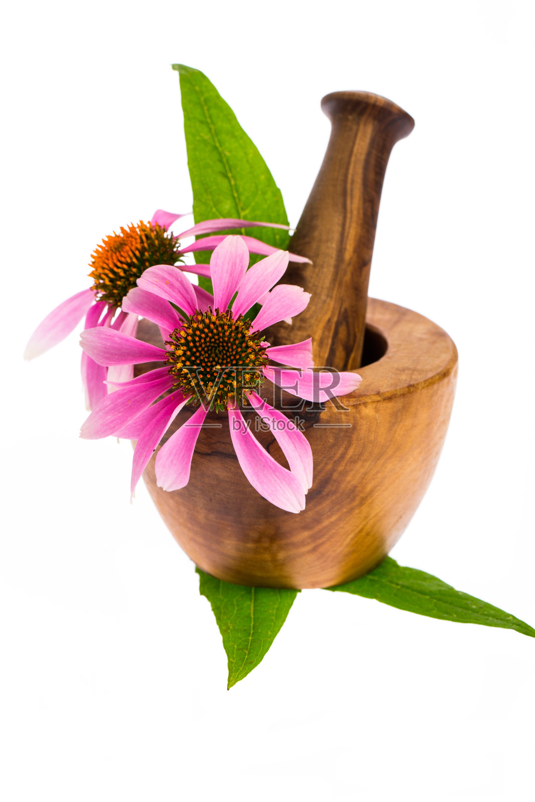 治疗植物:松果花(紫锥菊)和木臼照片摄影图片