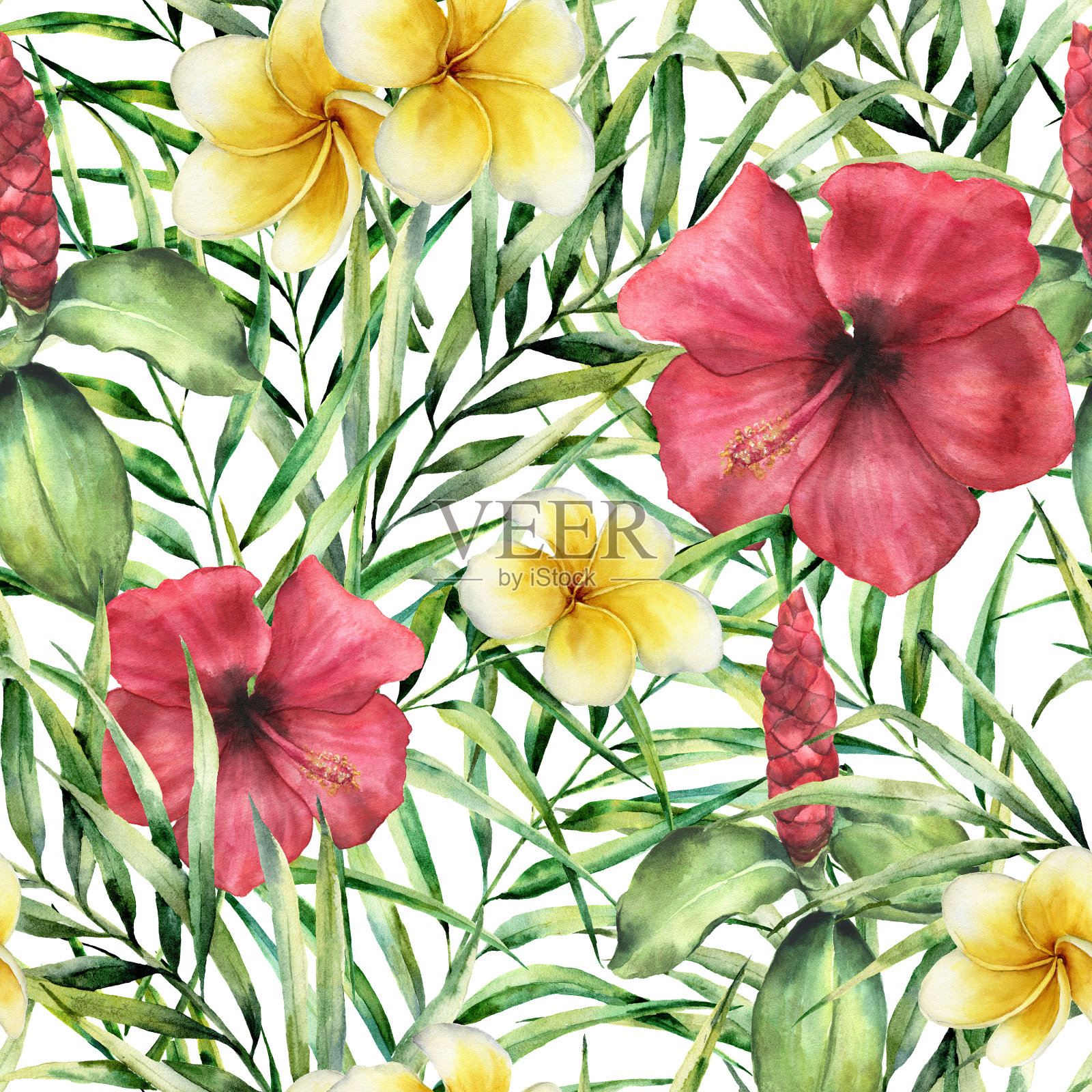 水彩热带模式与鸡蛋花和木槿。手绘花与棕榈叶孤立在白色的背景。植物装饰的设计，印花，织物。插画图片素材