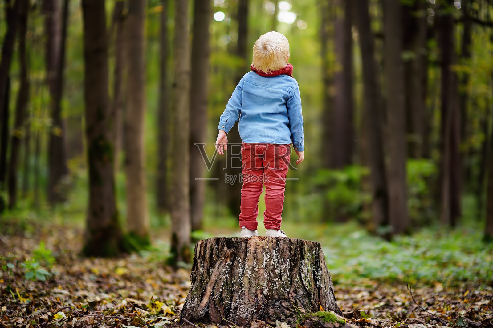 小男孩在森林里散步时在一个树桩上玩耍照片摄影图片