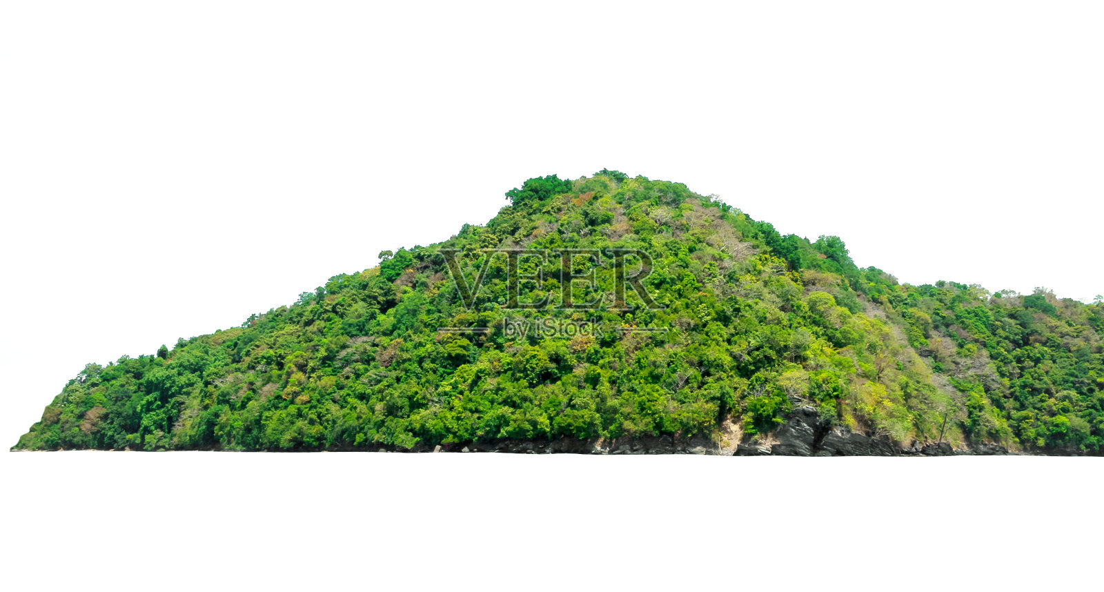 岛上有绿色的灌木，树叶，树木，森林孤立在白色的背景照片摄影图片
