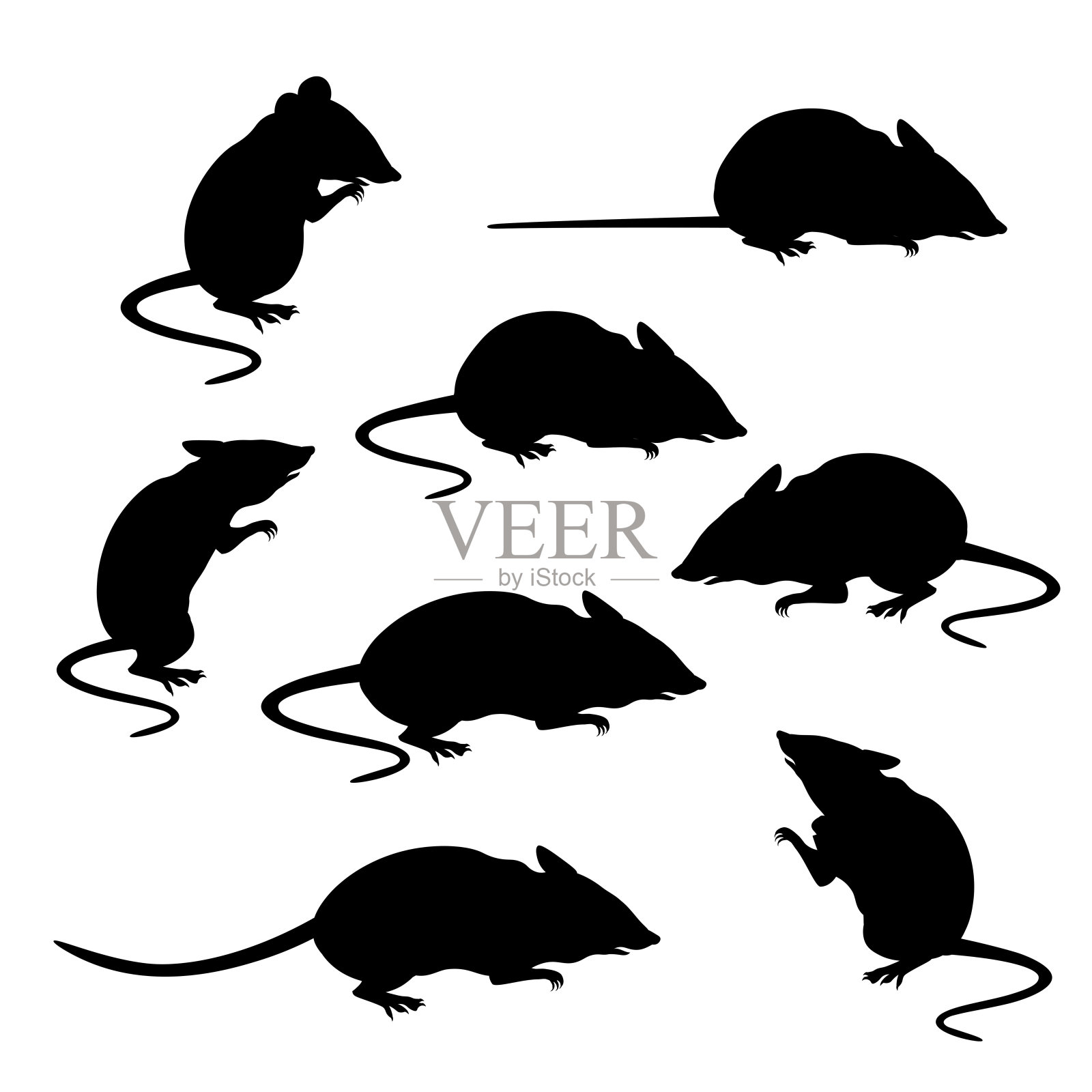 小鼠的剪影载体插画图片素材