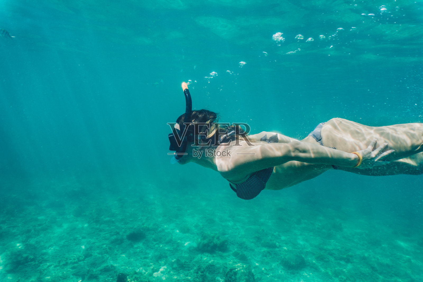 一个女人在海里浮潜的侧视图。照片摄影图片