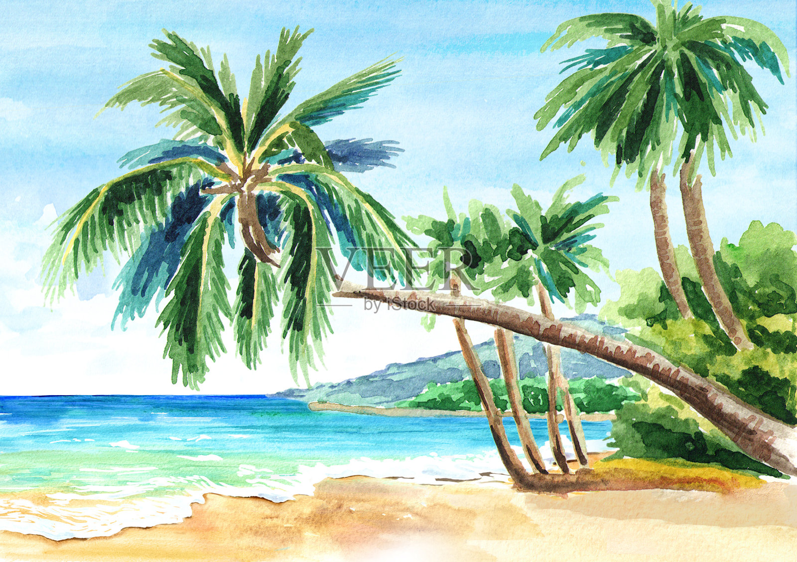 海滩上的棕榈。手绘水彩插图插画图片素材