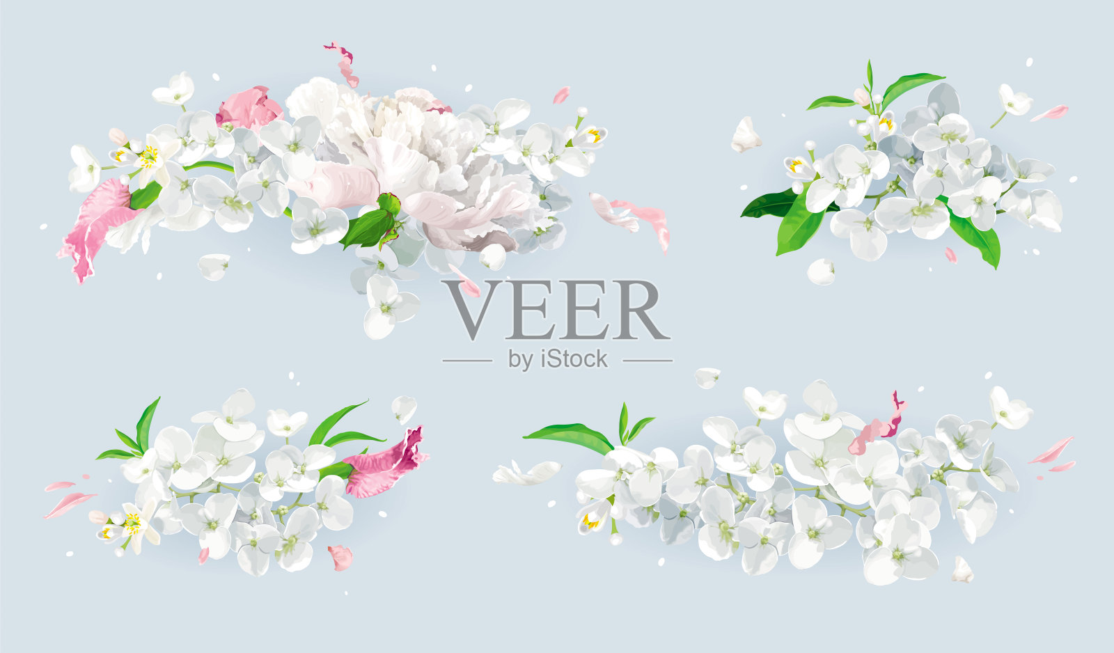 白色和粉红色的夏季鲜花花束集插画图片素材