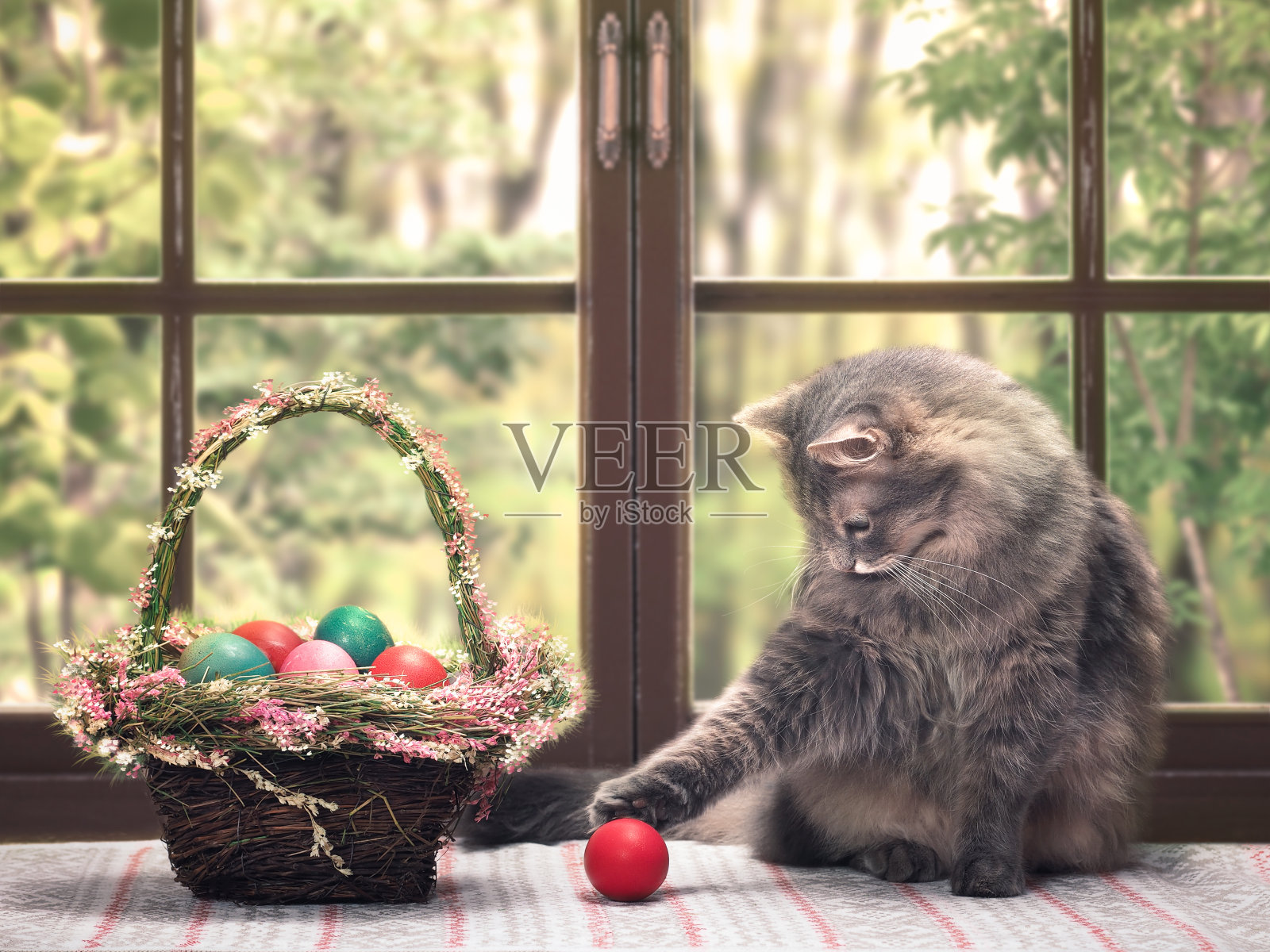 猫在玩红鸡蛋。一篮子漂亮的复活节彩蛋照片摄影图片