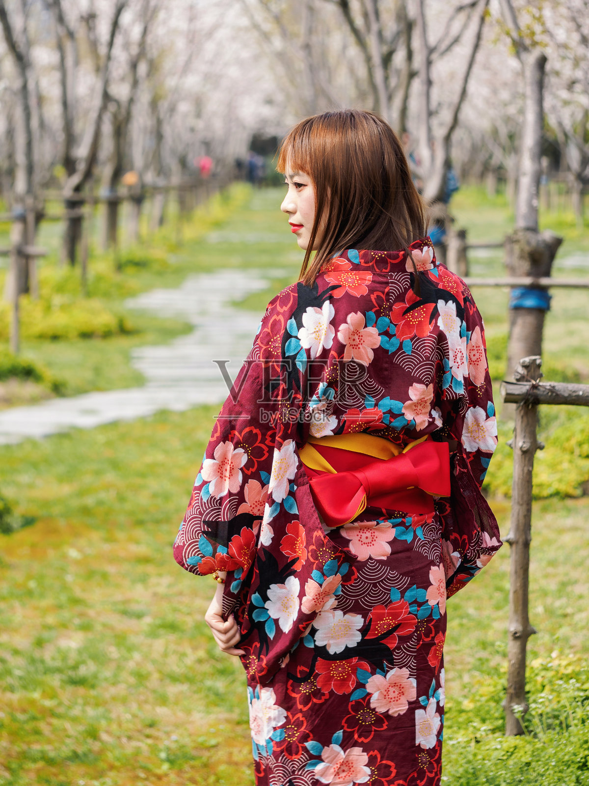 迷人的亚洲女人穿着和服在樱花林在春天。照片摄影图片
