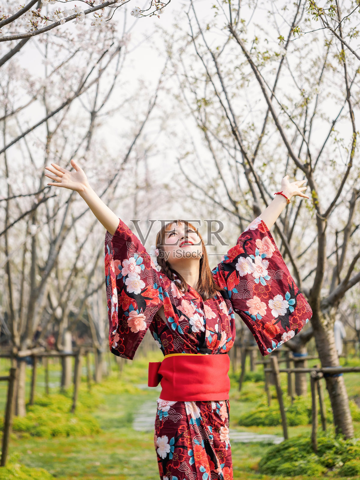 迷人的亚洲女子穿着和服，在樱花盛开的春天，双臂举向天空。照片摄影图片