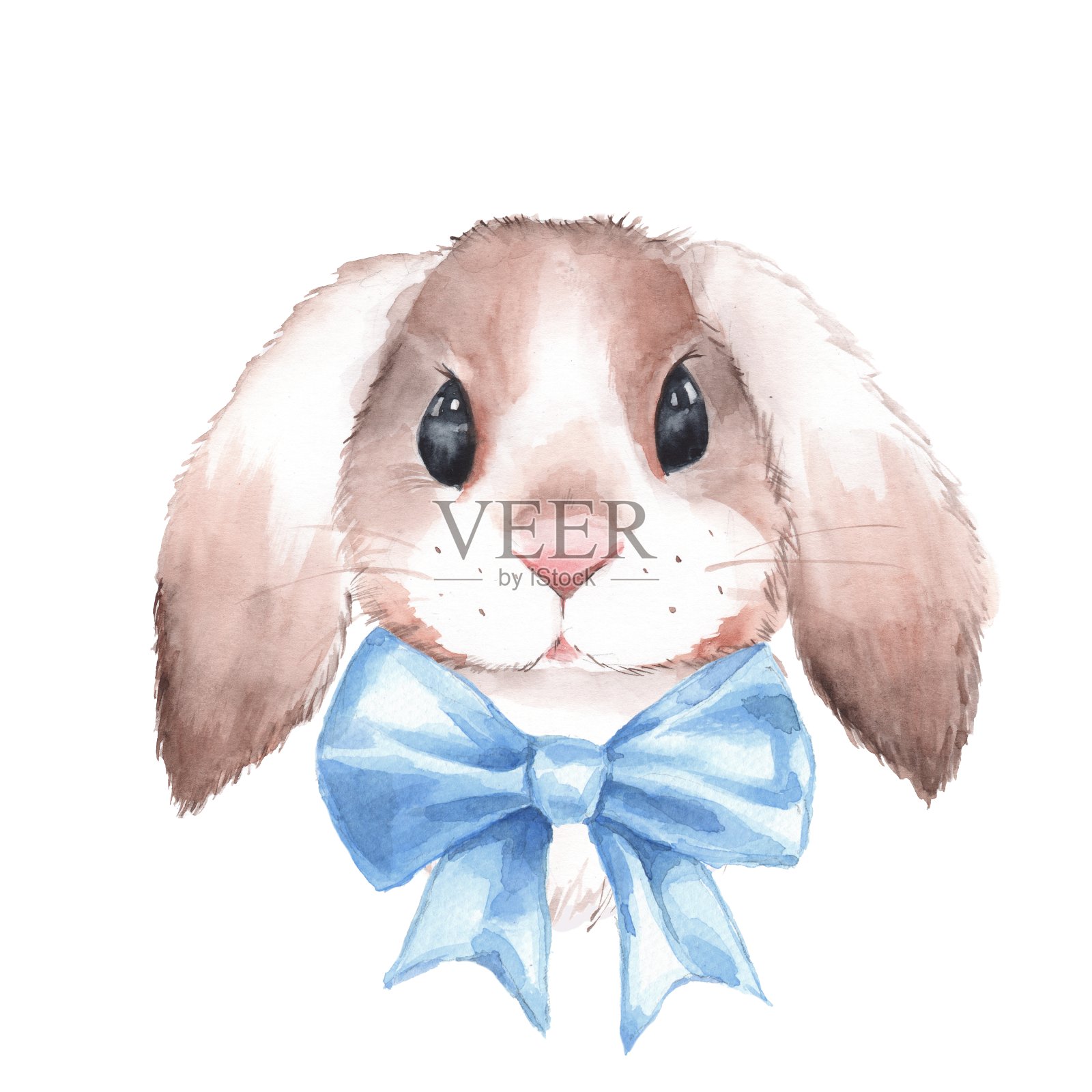可爱的兔子。水彩插图设计元素图片