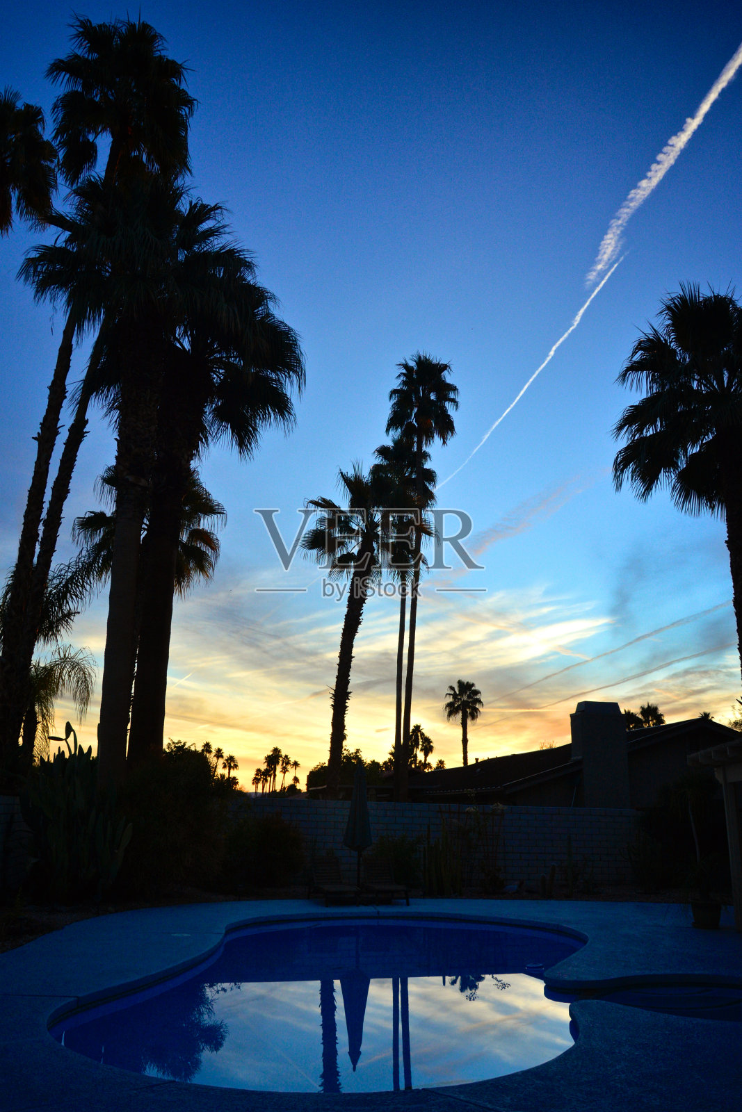 后院游泳池日出，棕榈树，棕榈泉，南加州，美国照片摄影图片
