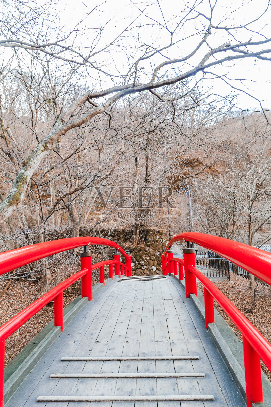 秋日，日本群马县著名的春莲山东坡上有一座红桥。照片摄影图片