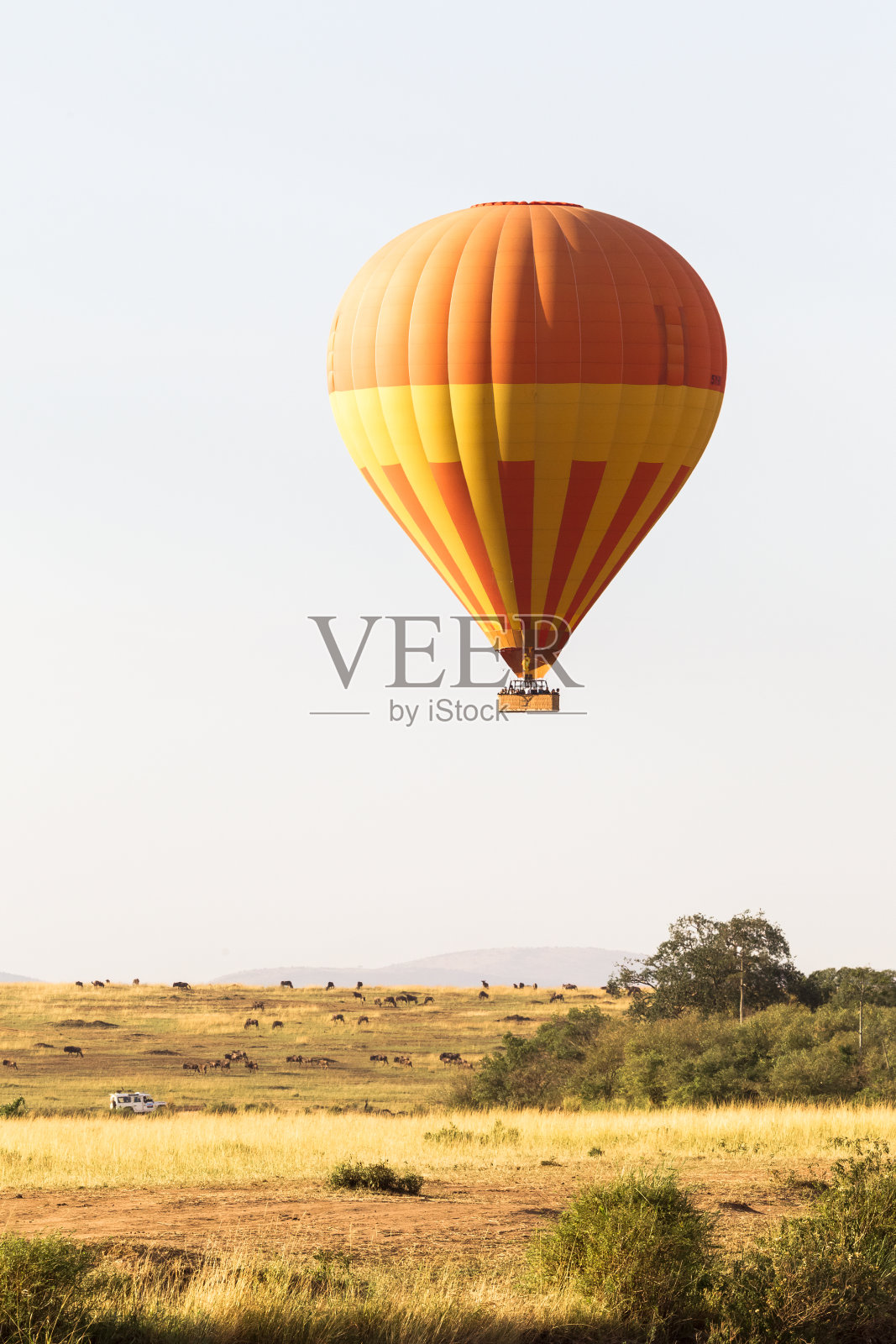 乘着气球飞越马赛马拉平原。肯尼亚照片摄影图片