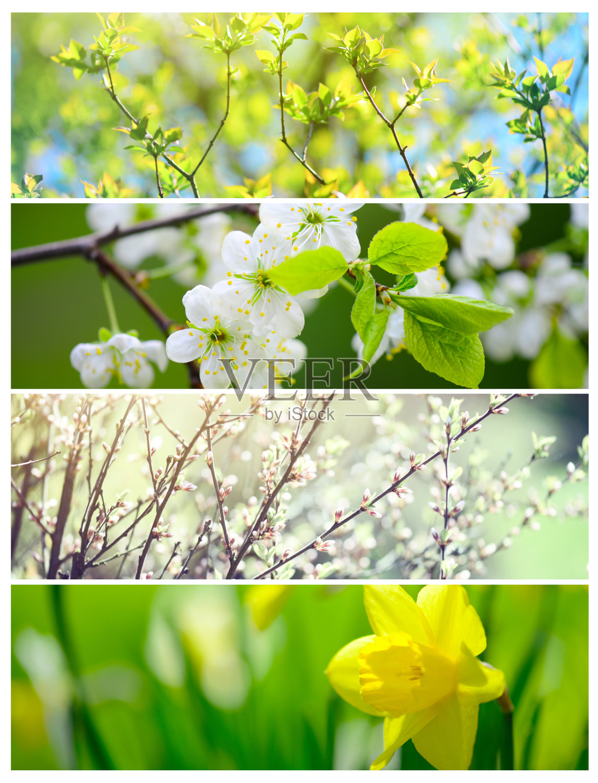 四季概念拼贴(春季)照片摄影图片
