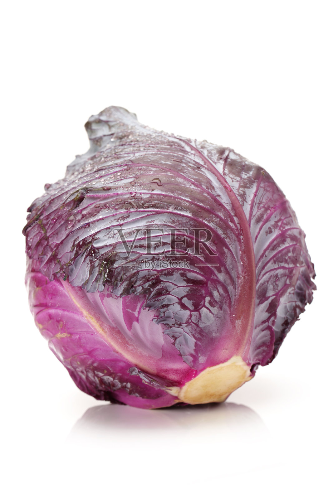 白色背景上的紫色卷心菜照片摄影图片