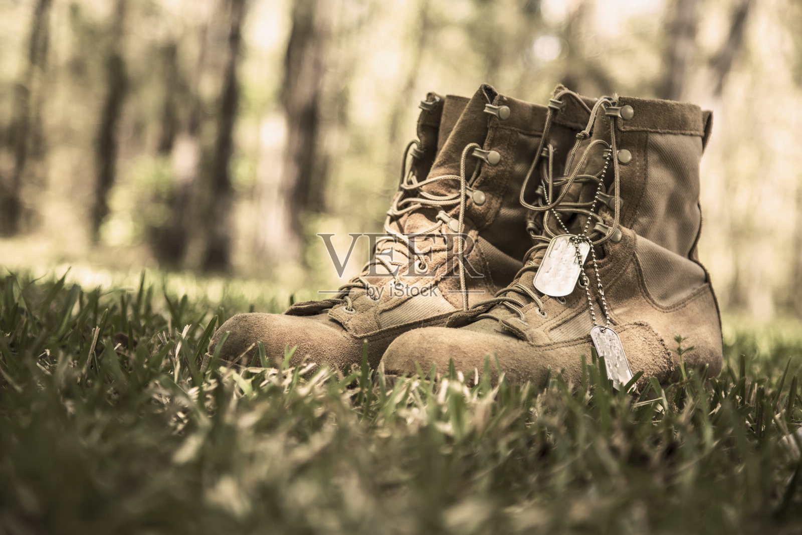 美国军靴和户外狗牌。照片摄影图片